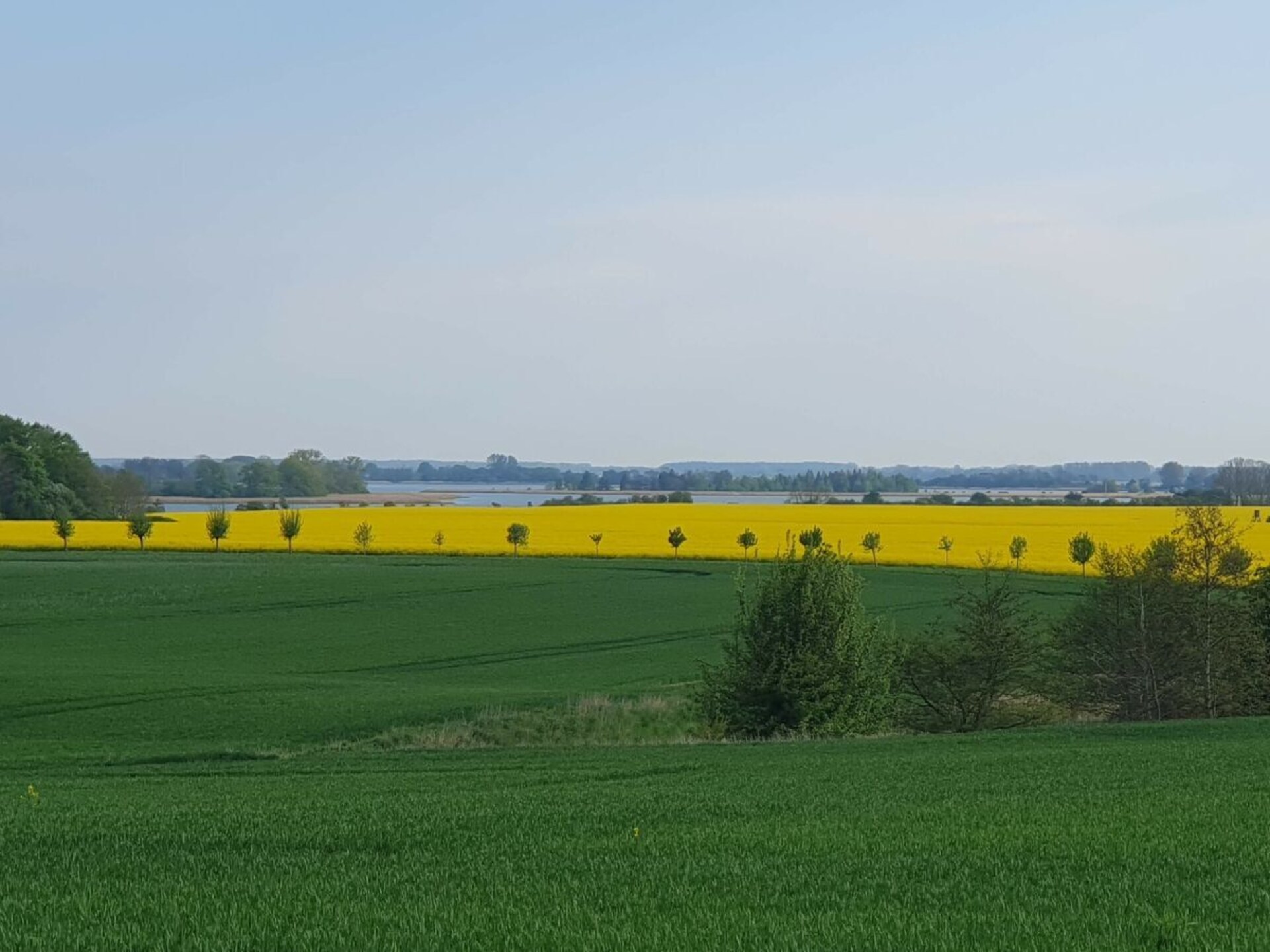 Rieten dak idylle aan de Üselitzer Wiek – Nieuw vakantiehuis voor 6 personen - foto 27