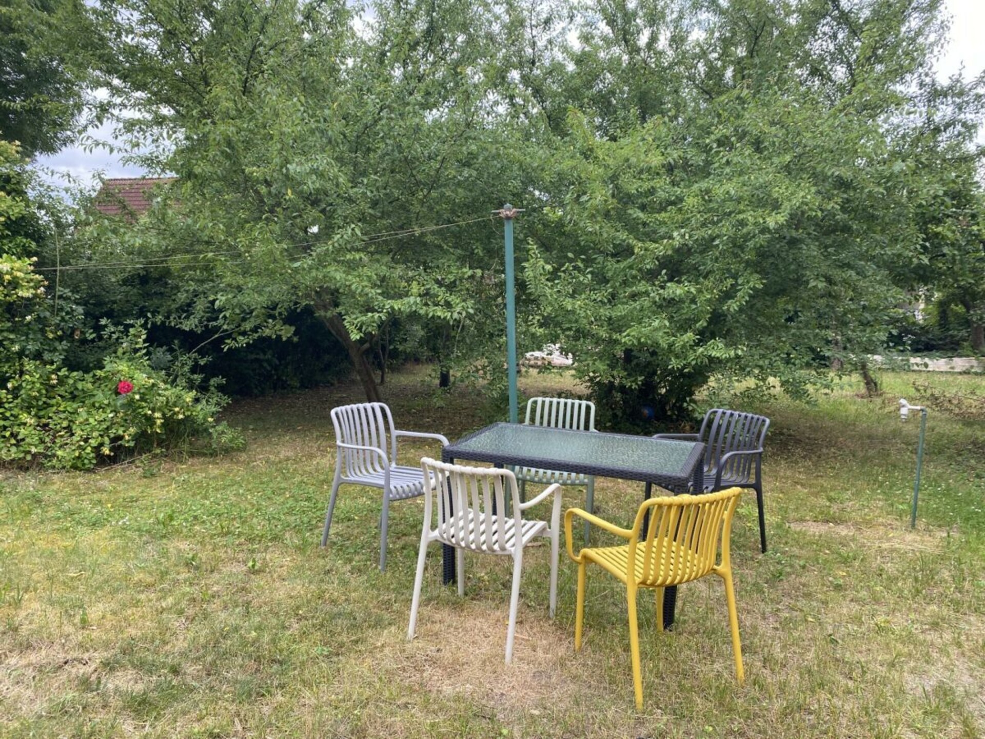 Knus appartement voor 2 bij de Müritz – bewust zonder tv, mét bad - foto 3