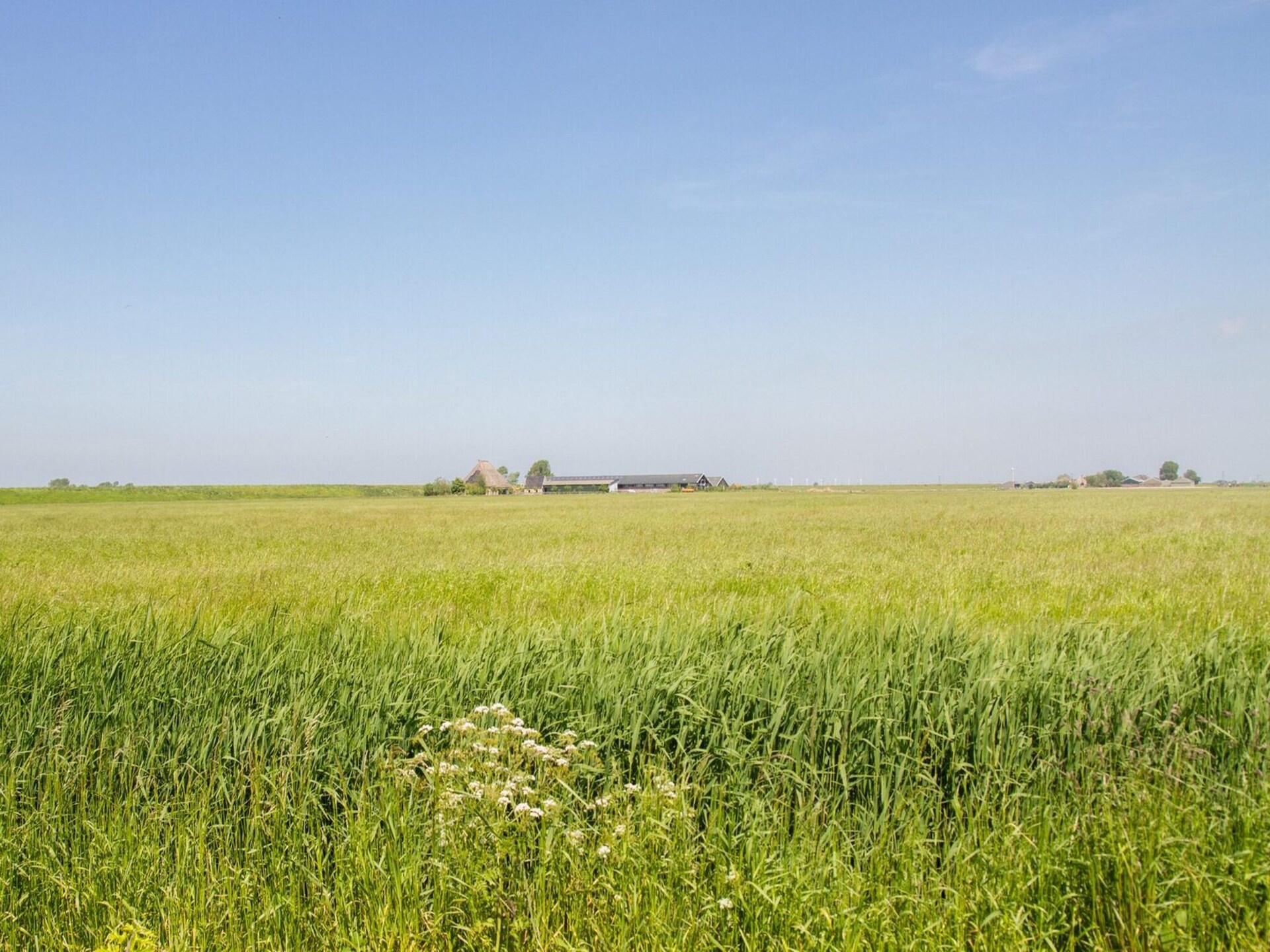 Sfeervol appartement in boerderij bij Schagen, 8 km van strand - foto 28