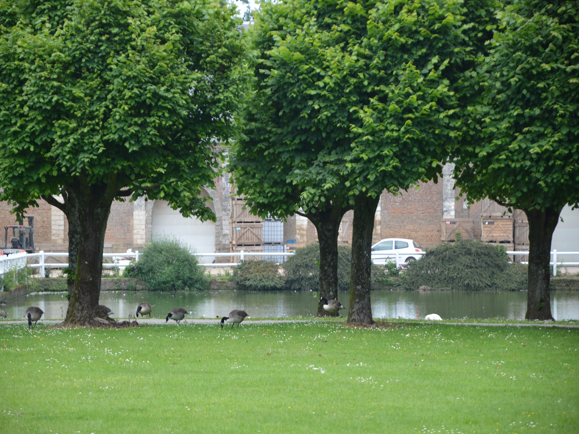 Ruim vakantiehuis Abbaye St-André 5 in Gouy-Saint-André - foto 27