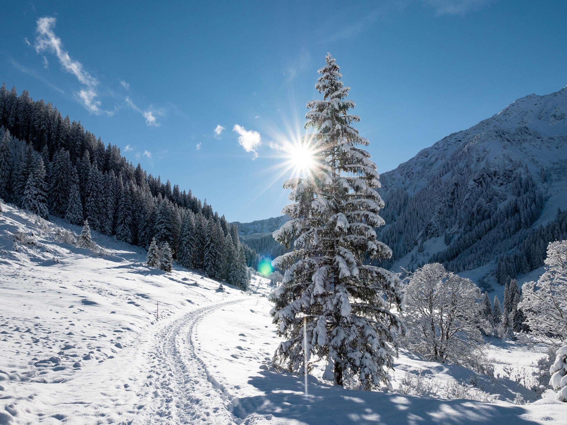 4-persoons vakantiehuis in Oberau op 300 m van de piste - foto 16