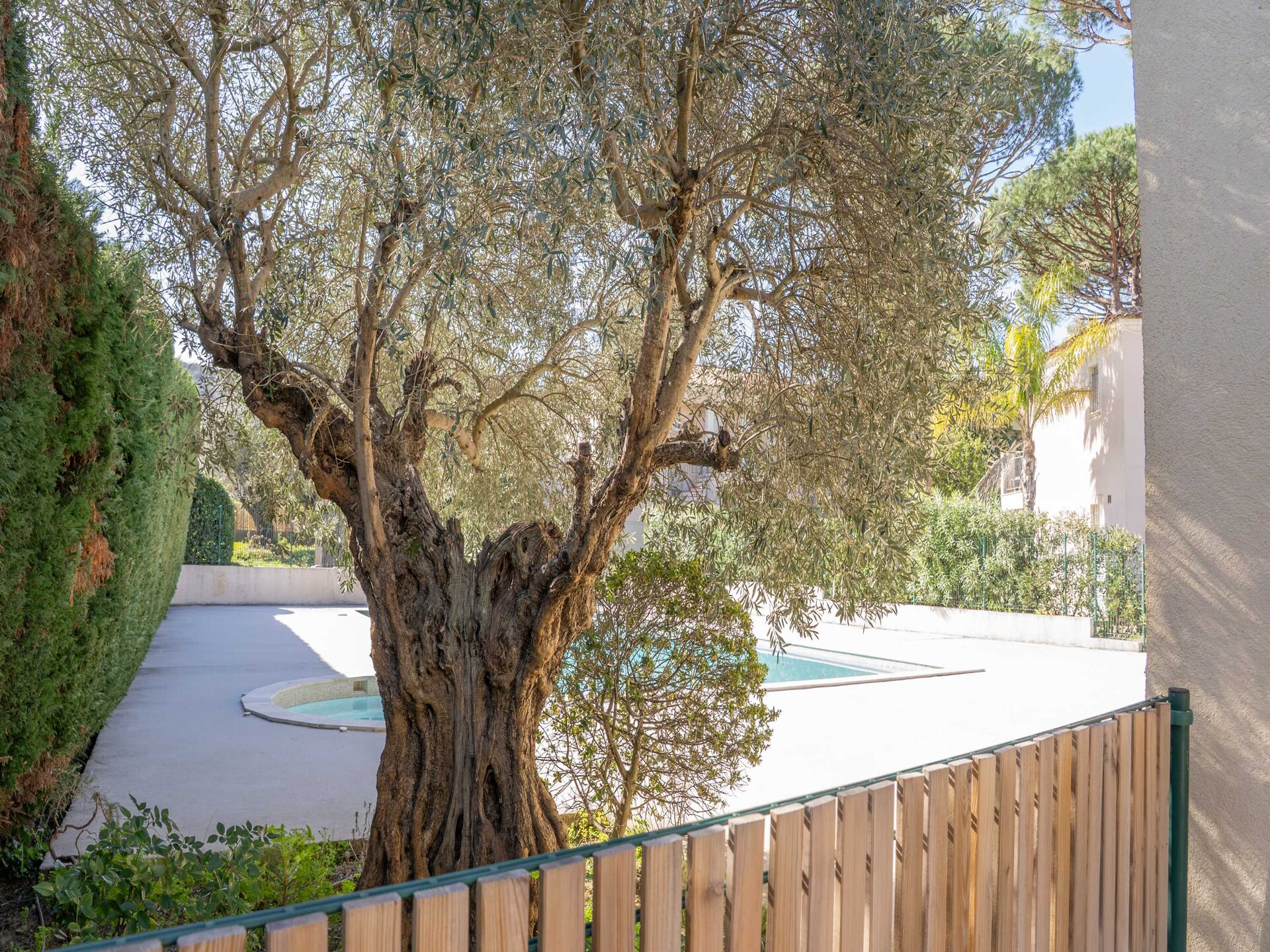 Licht appartement voor 4 in Gassin met zwembad, dichtbij Saint-Tropez - foto 26