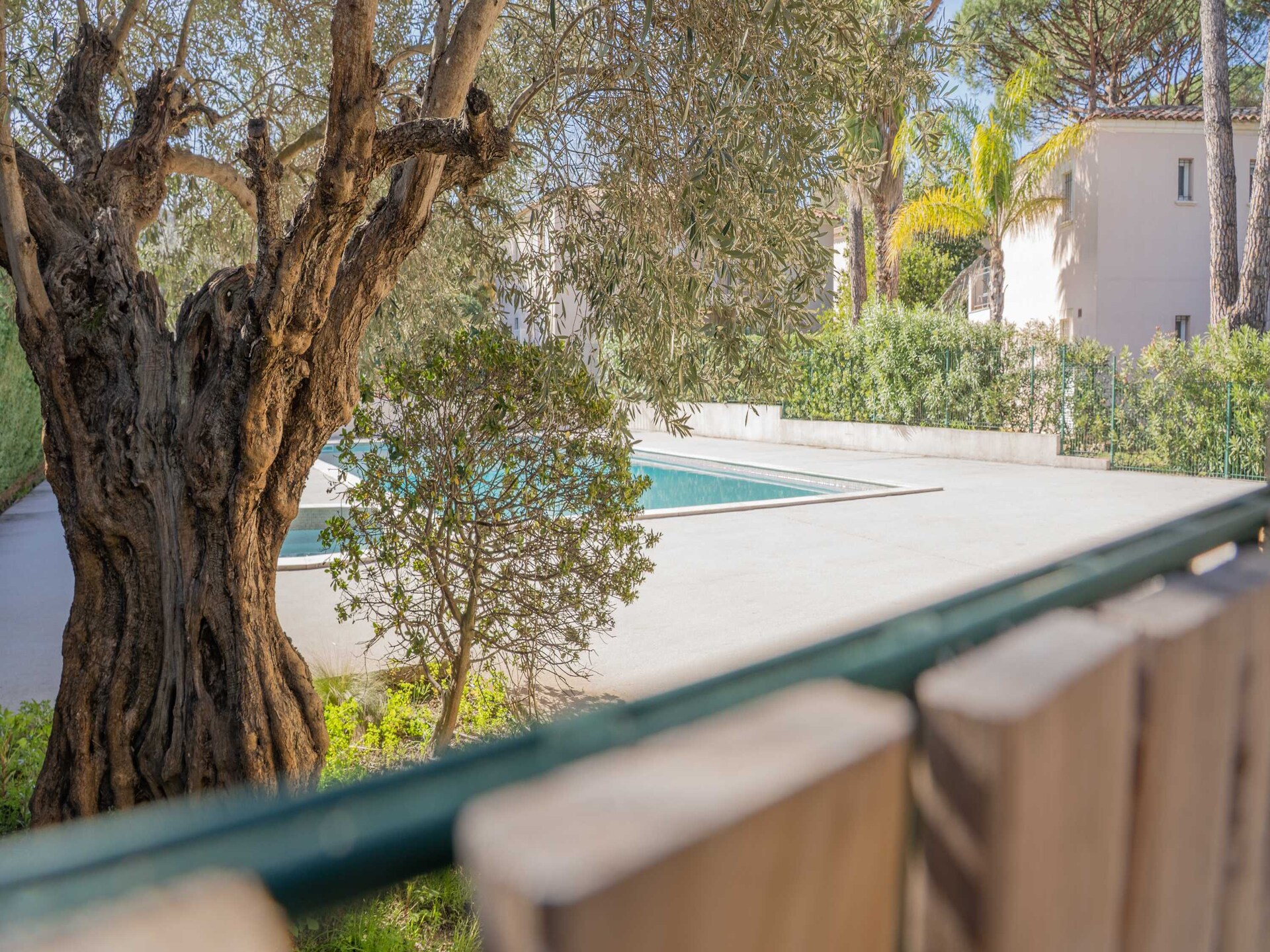 Licht appartement voor 4 in Gassin met zwembad, dichtbij Saint-Tropez - foto 6