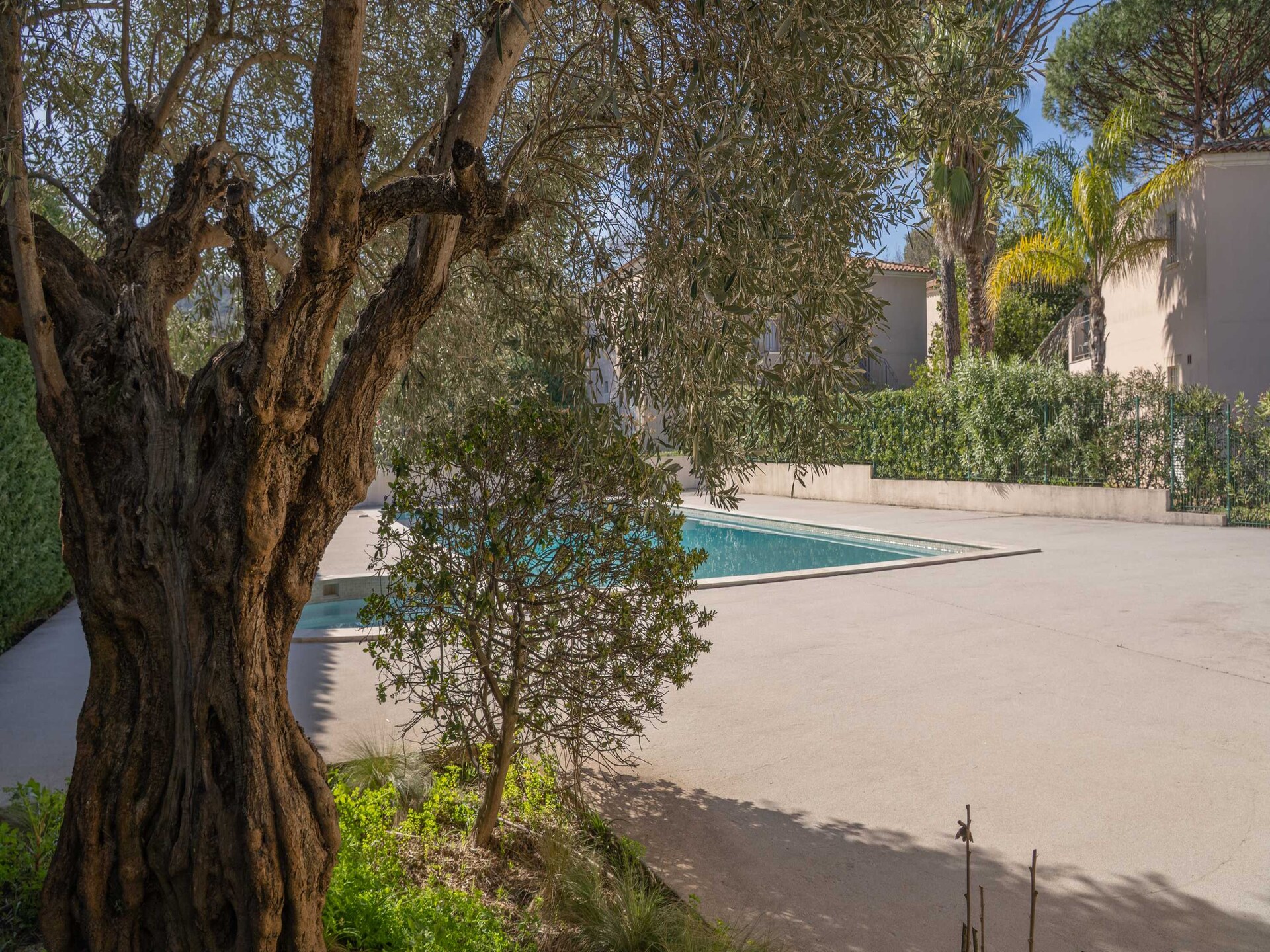 Licht appartement voor 4 in Gassin met zwembad, dichtbij Saint-Tropez - foto 4