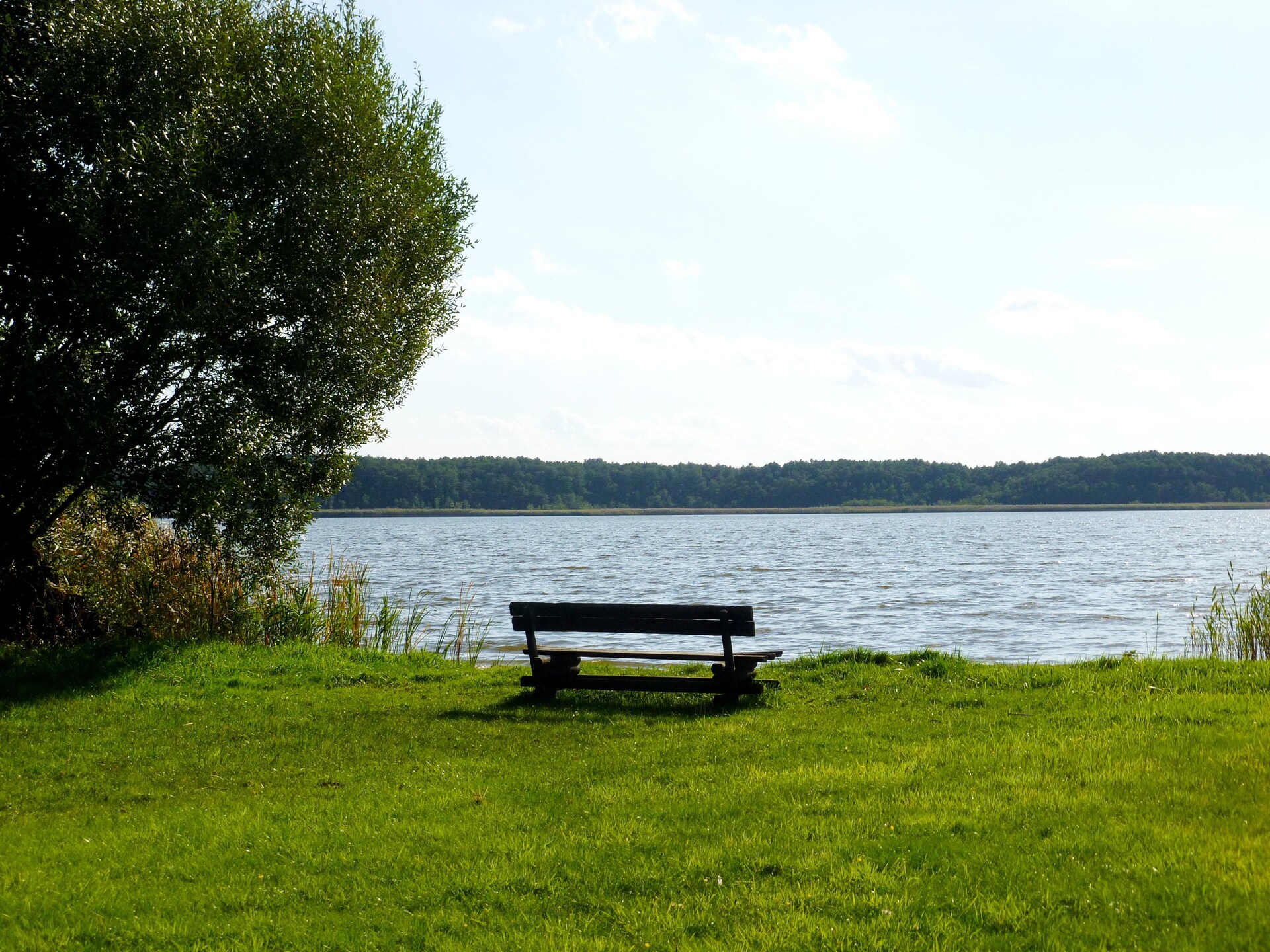 Ferienhaus 4 Elemente: Duurzaam houten vakantiehuis in Brandenburg voor 6 personen - foto 36
