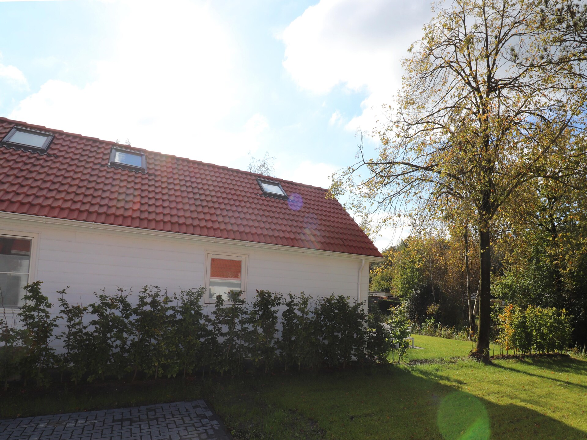 Modern chalet op Landgoed Eysinga tussen de Friese meren, 6 pers. - foto 7