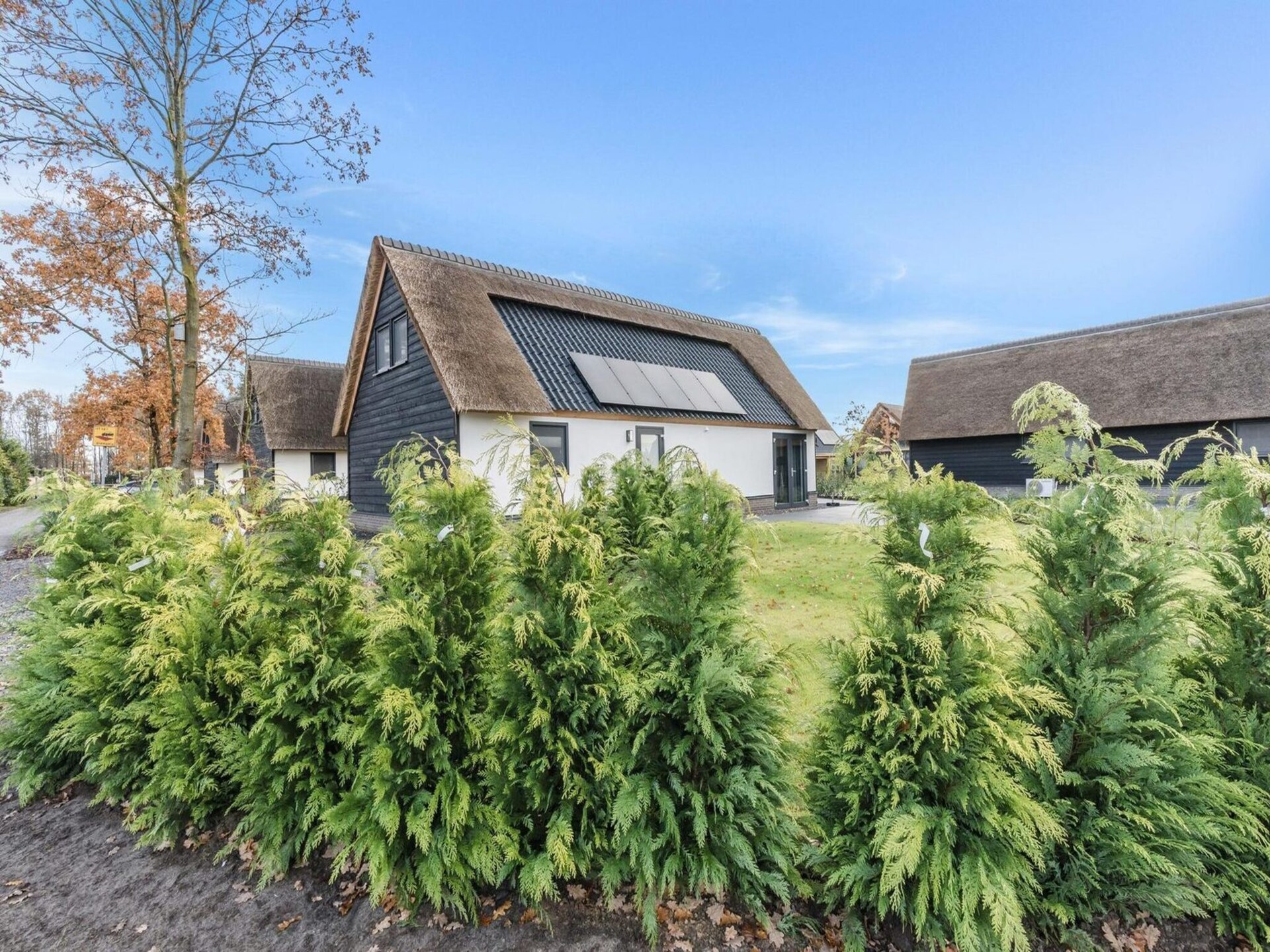 Luxe rietgedekte bungalow aan rustig vijver in Baarle-Nassau - foto 26