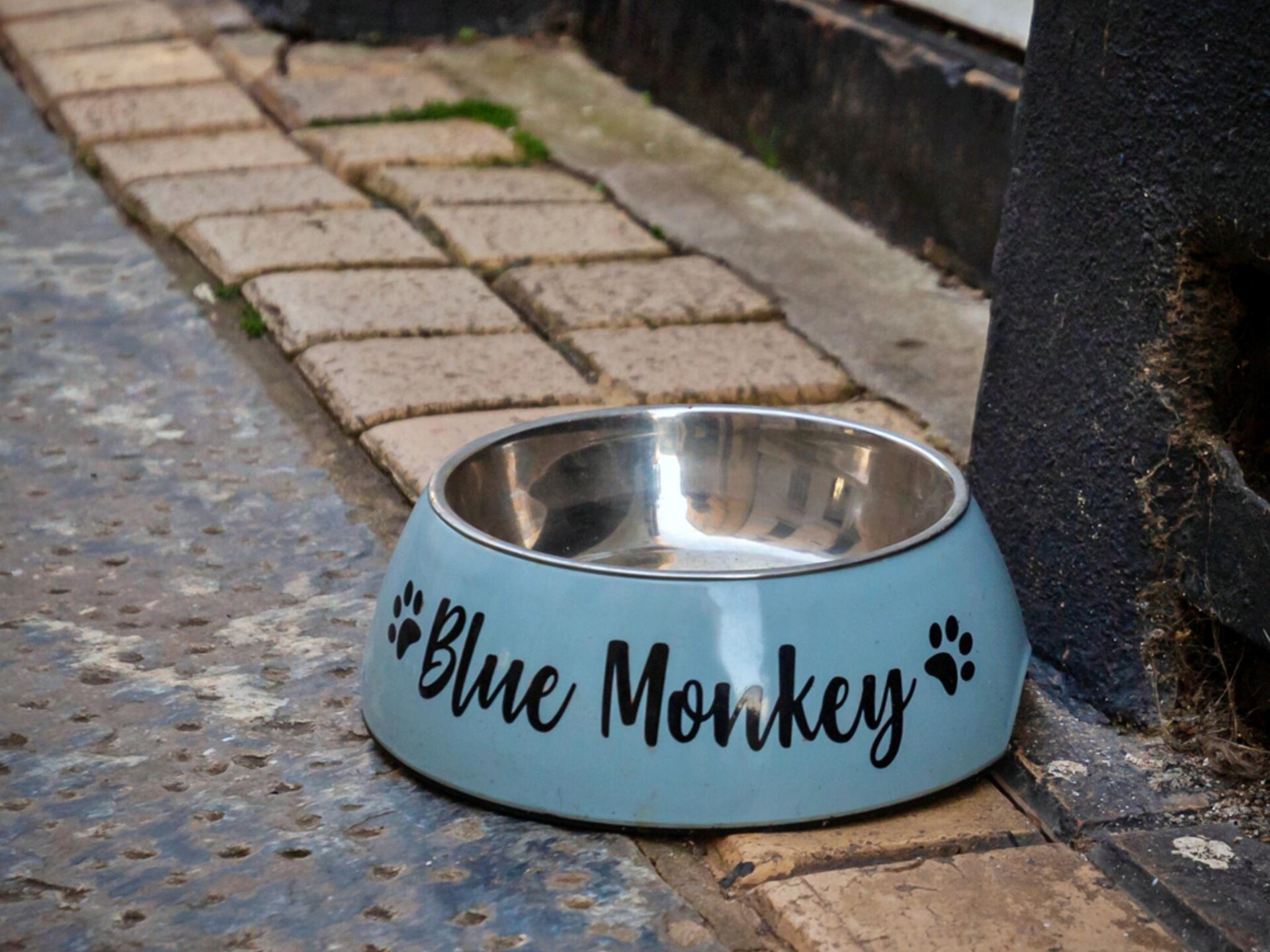 Blue Monkey - foto 21