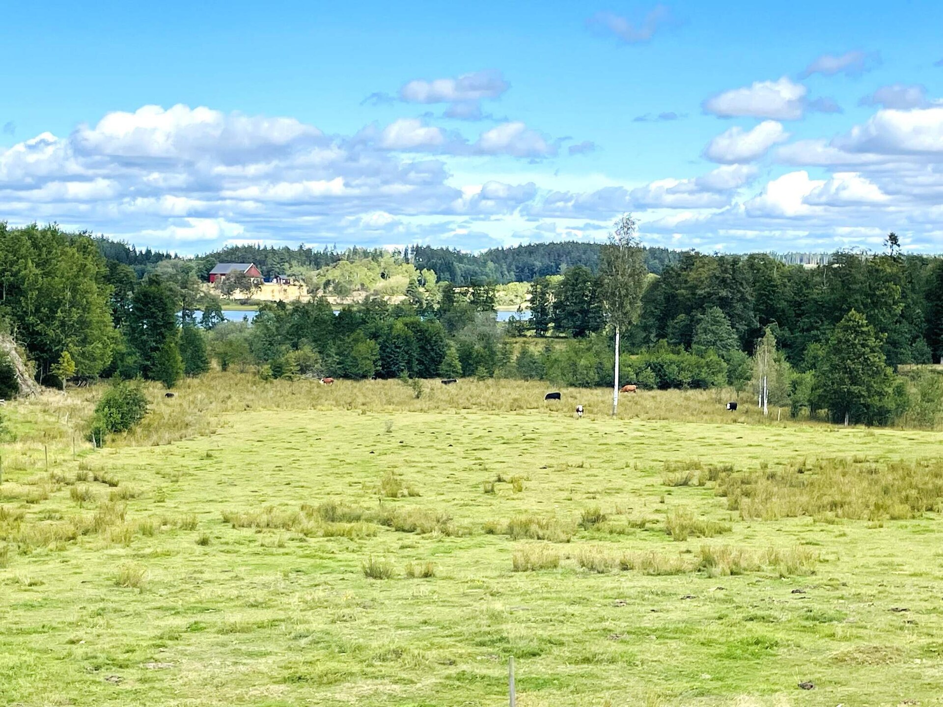 Sfeervol vakantiehuis in Uddevalla nabij natuur en meer - foto 8