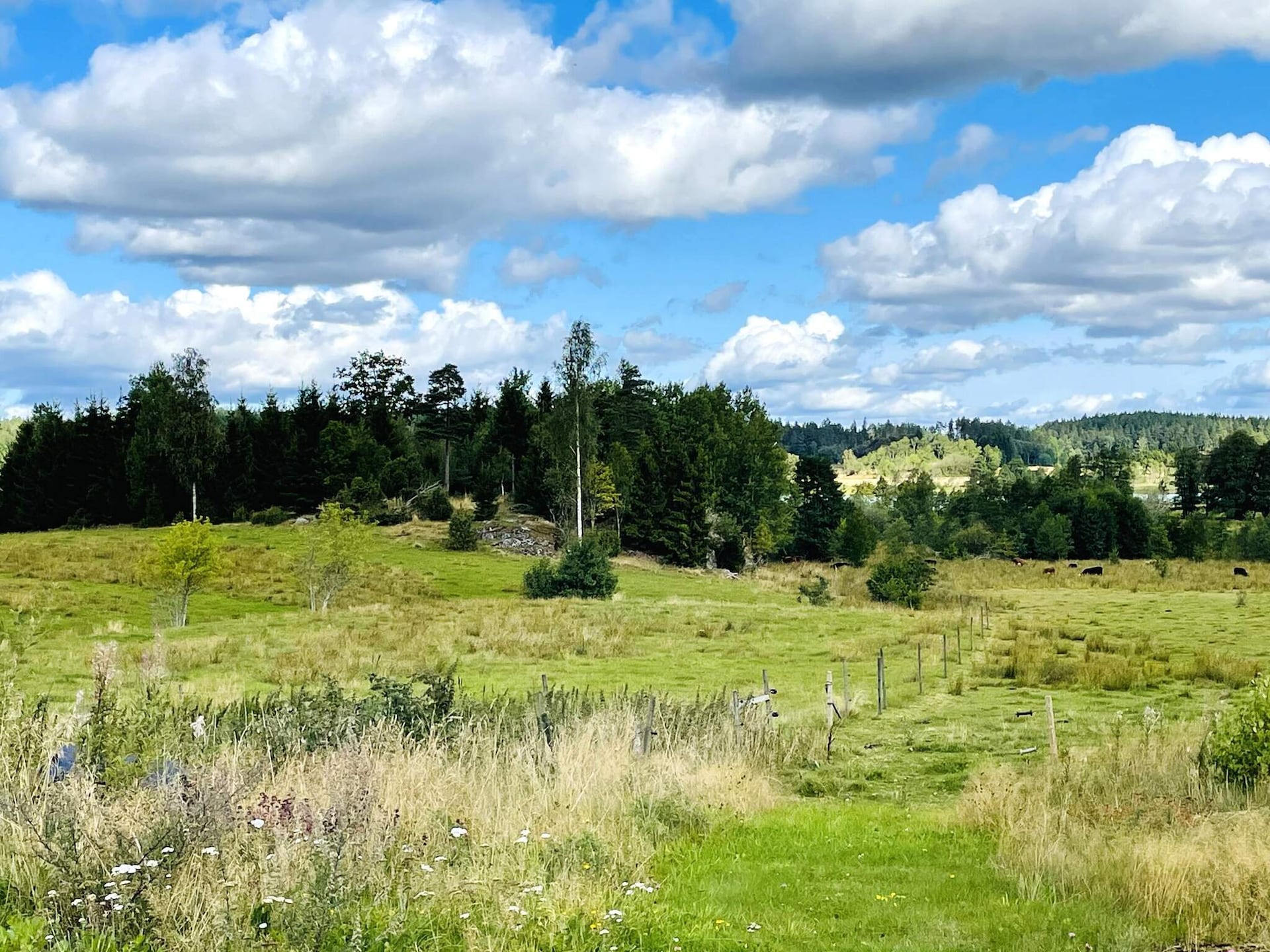 Sfeervol vakantiehuis in Uddevalla nabij natuur en meer - foto 9