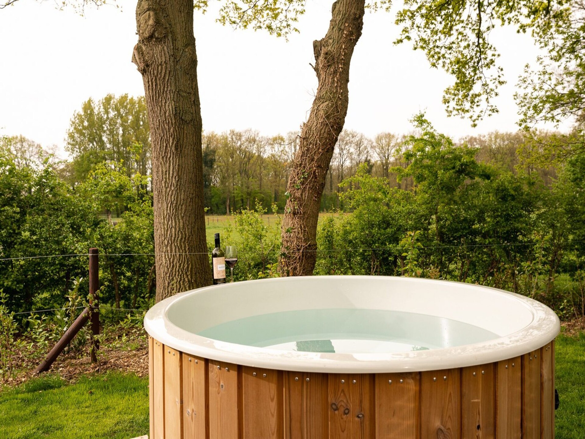 Hondvriendelijk vakantiehuis in Rijssen met privé hottub - foto 9