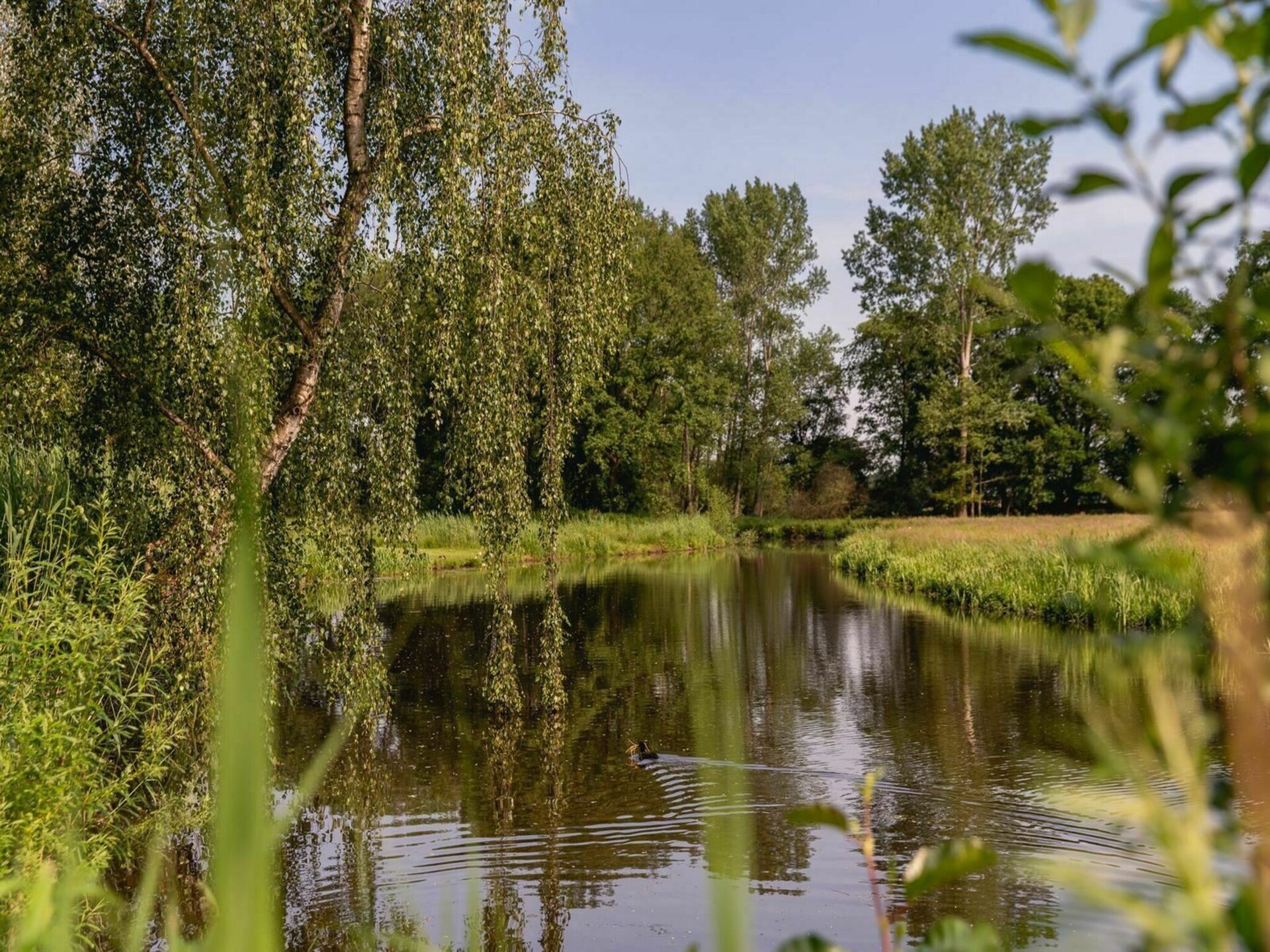 Rivierhut met hottub aan de Regge in Zuna voor 6 personen - foto 16