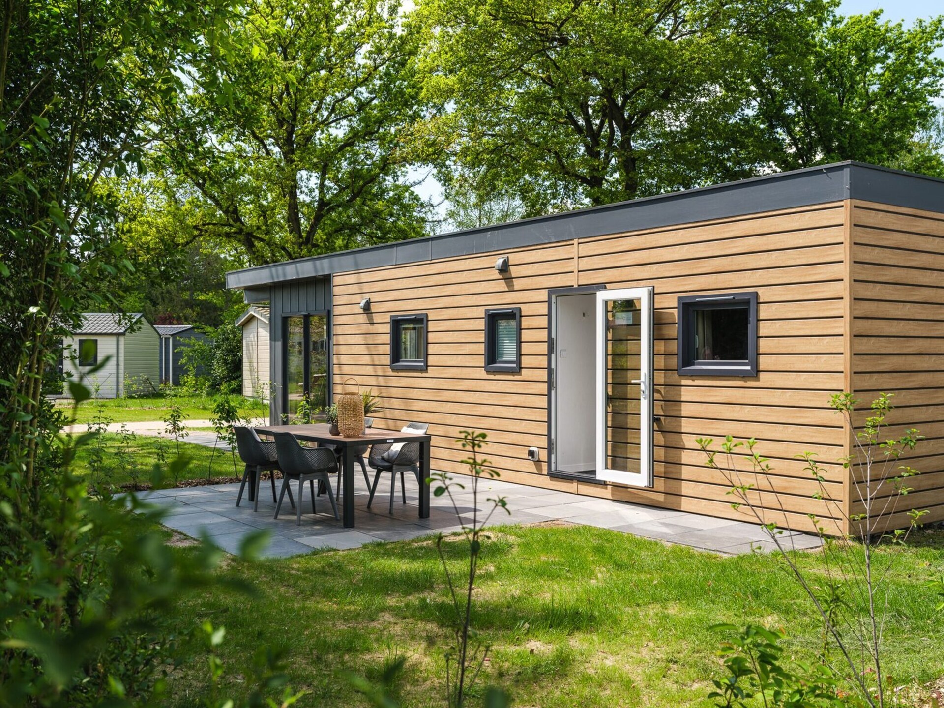 Tiny Cabin in Zuna: knus verblijf voor 4 in het groene Twente - foto 10