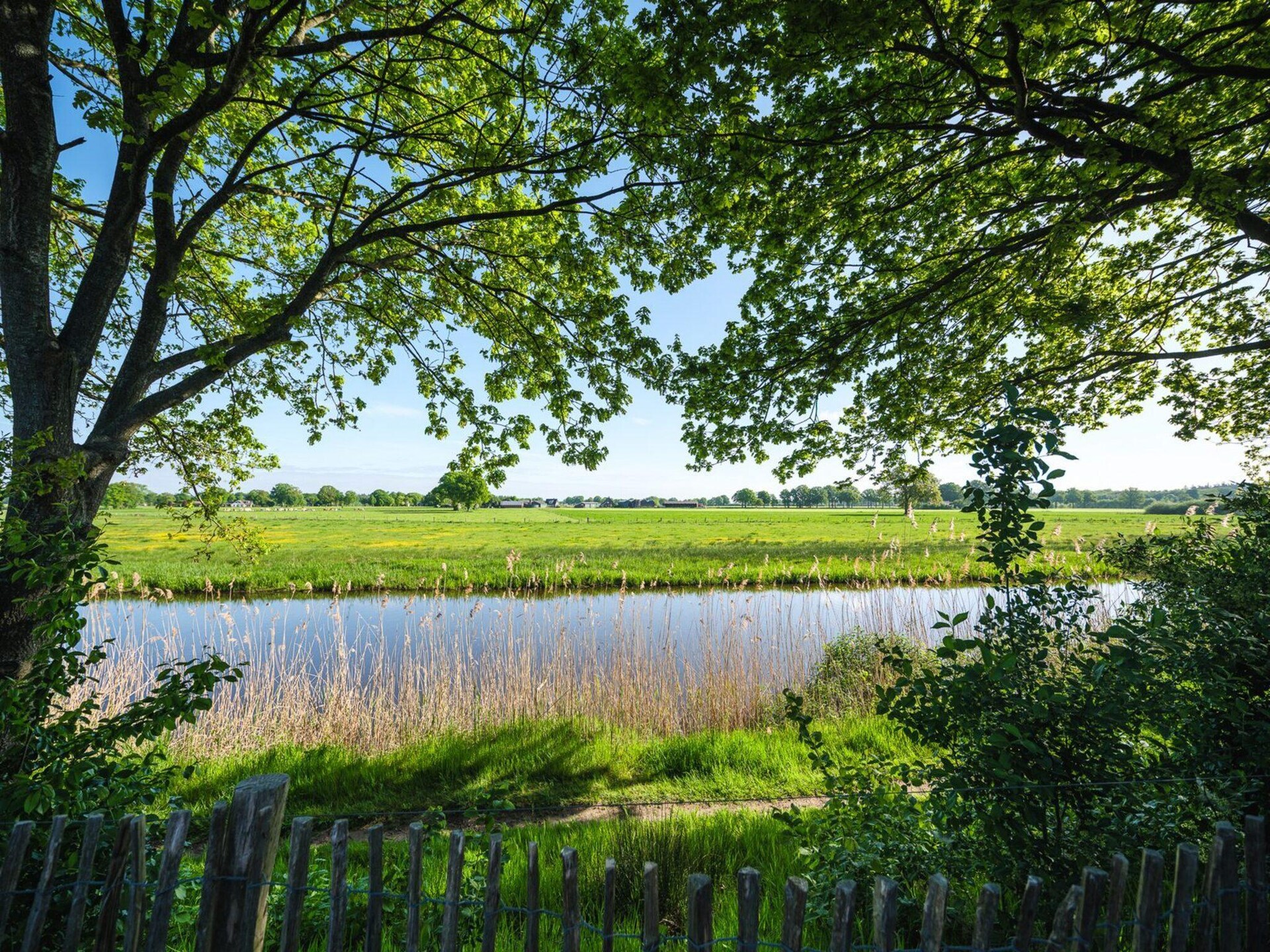 Unieke Riverdome aan de Regge in Zuna voor 4 personen - foto 13