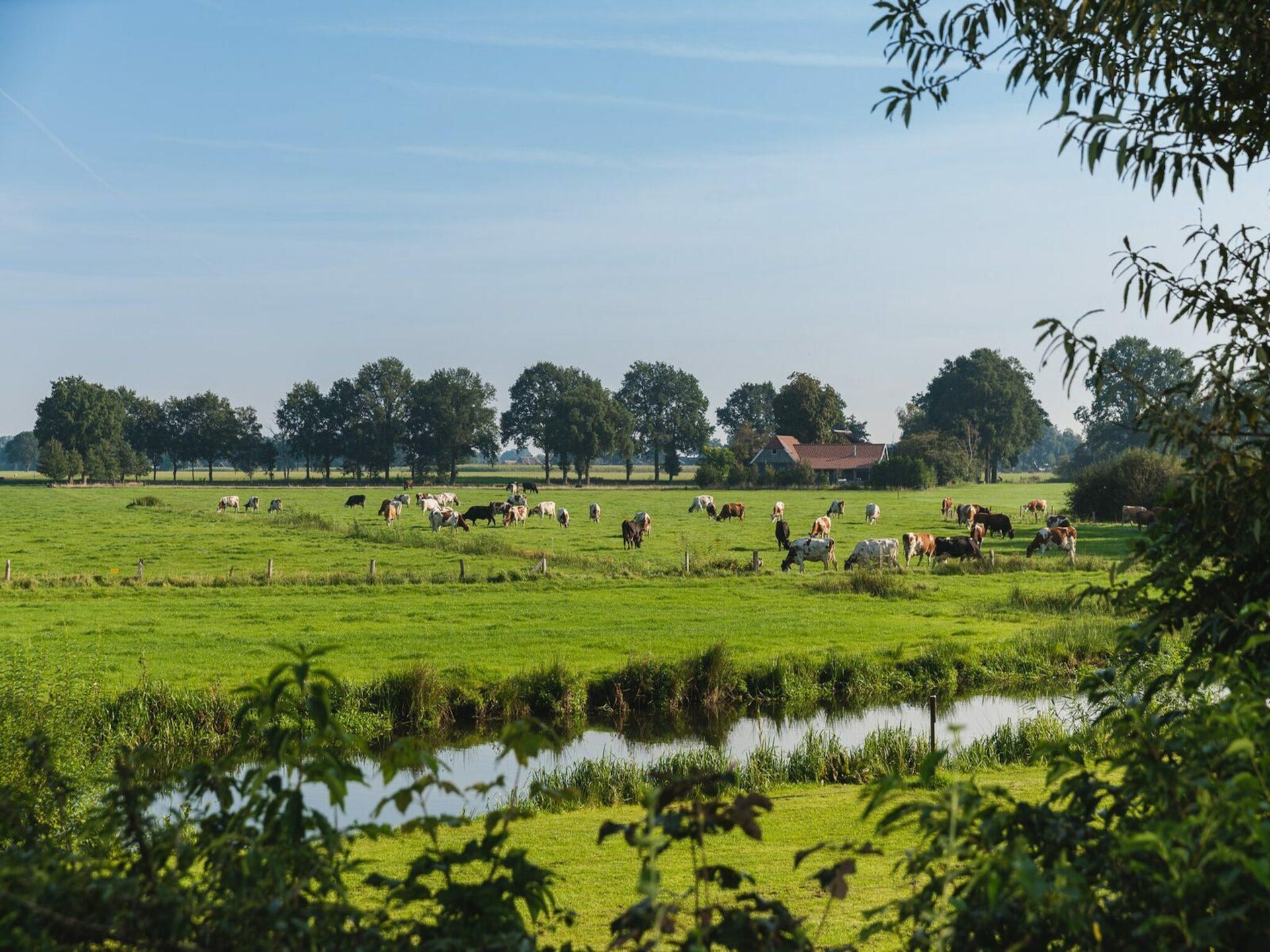 Kindvriendelijk vakantiehuis met bubbelbad in Zuna voor 5 personen - foto 33