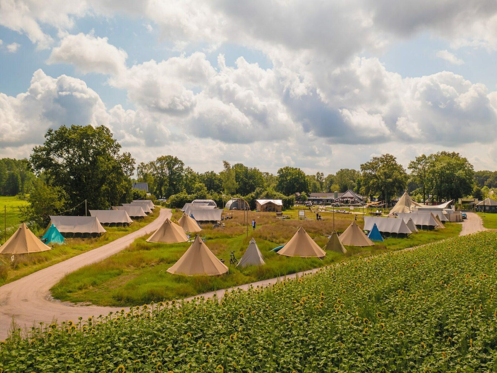 Kindvriendelijke bungalow in Zuna met sauna en bubbelbad - foto 20