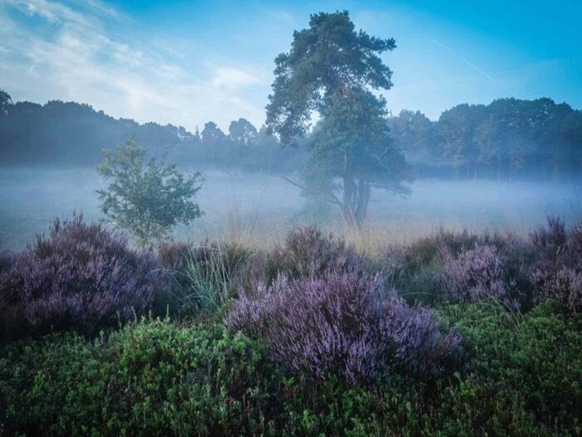 Luxe Wellnesslodge aan de Regge in Zuna voor 2 personen - foto 26