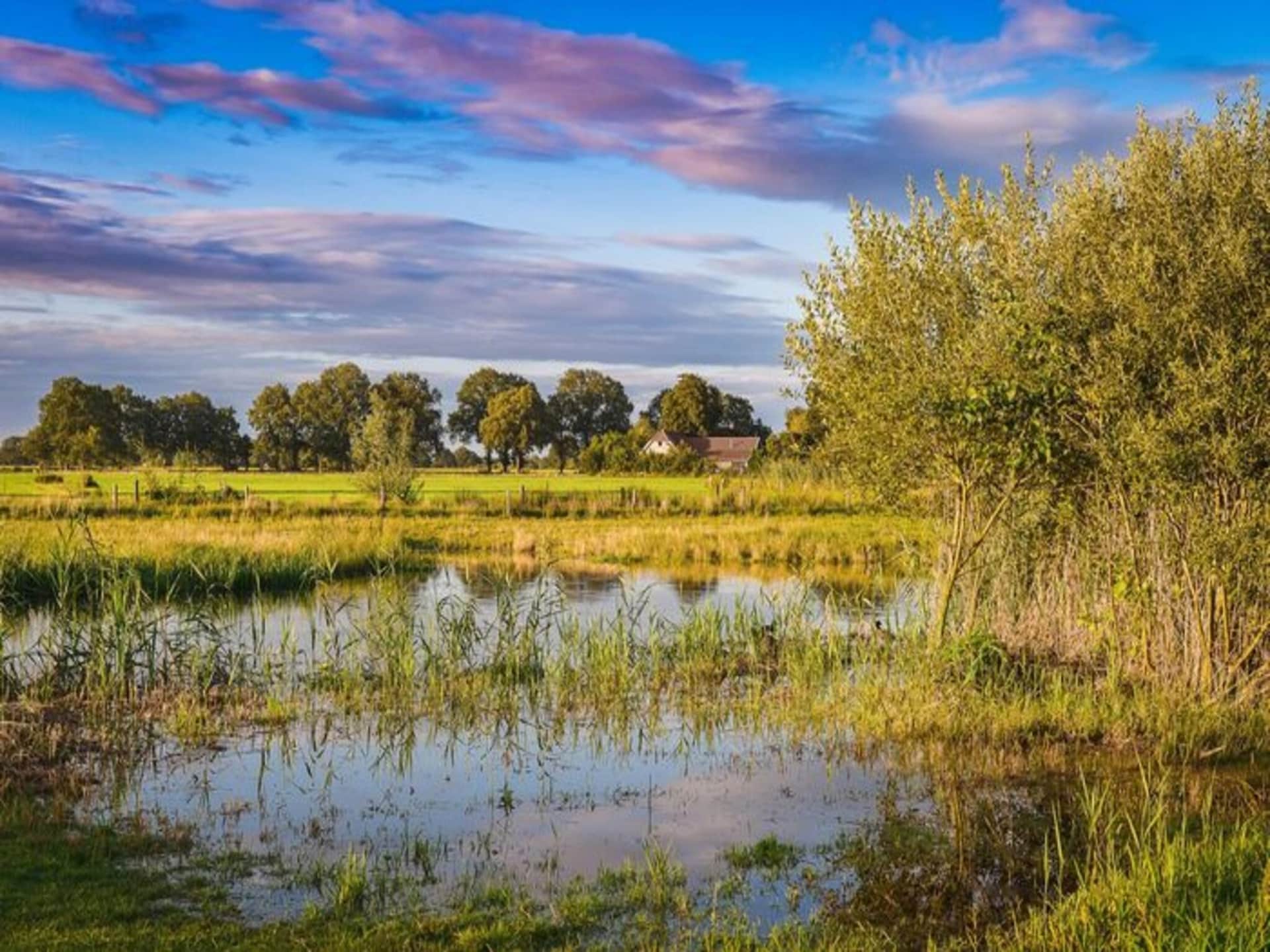 Luxe Wellnesslodge aan de Regge in Zuna voor 2 personen - foto 18