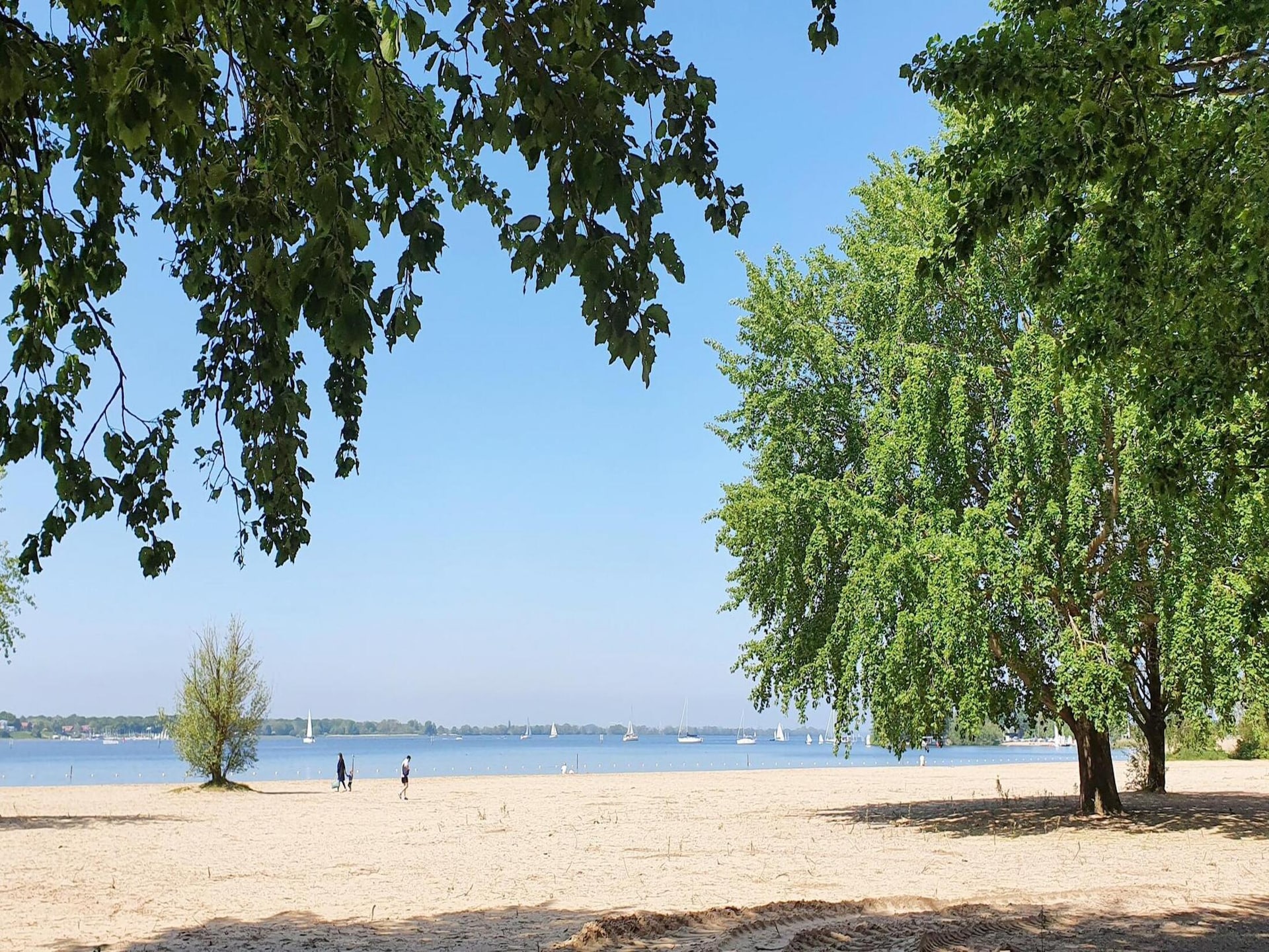 Luxe Safari Lodge XL in Almere voor 6 personen aan het IJmeer - foto 17