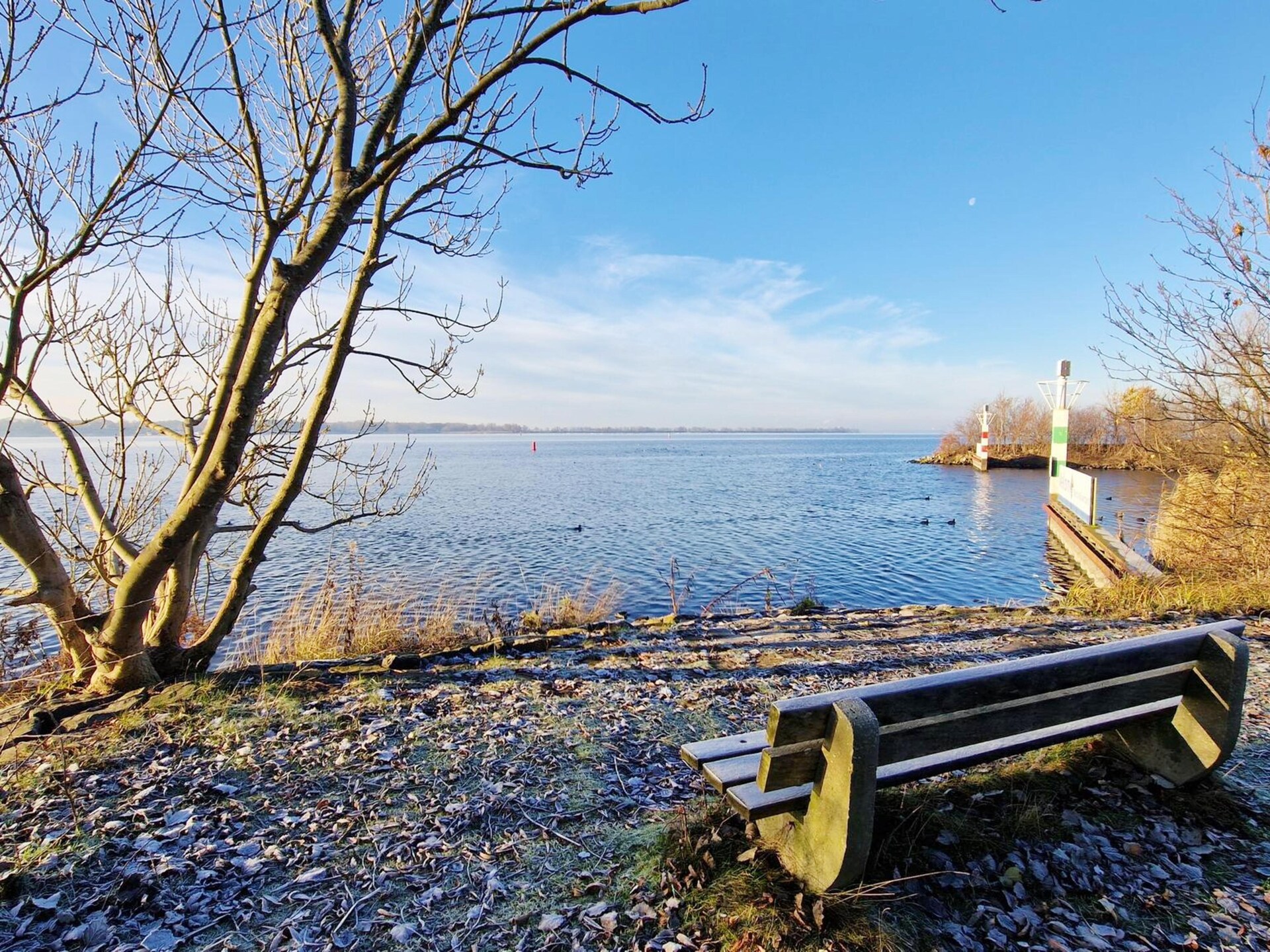 Unieke Tiny Wagon aan het water in Almere - foto 17