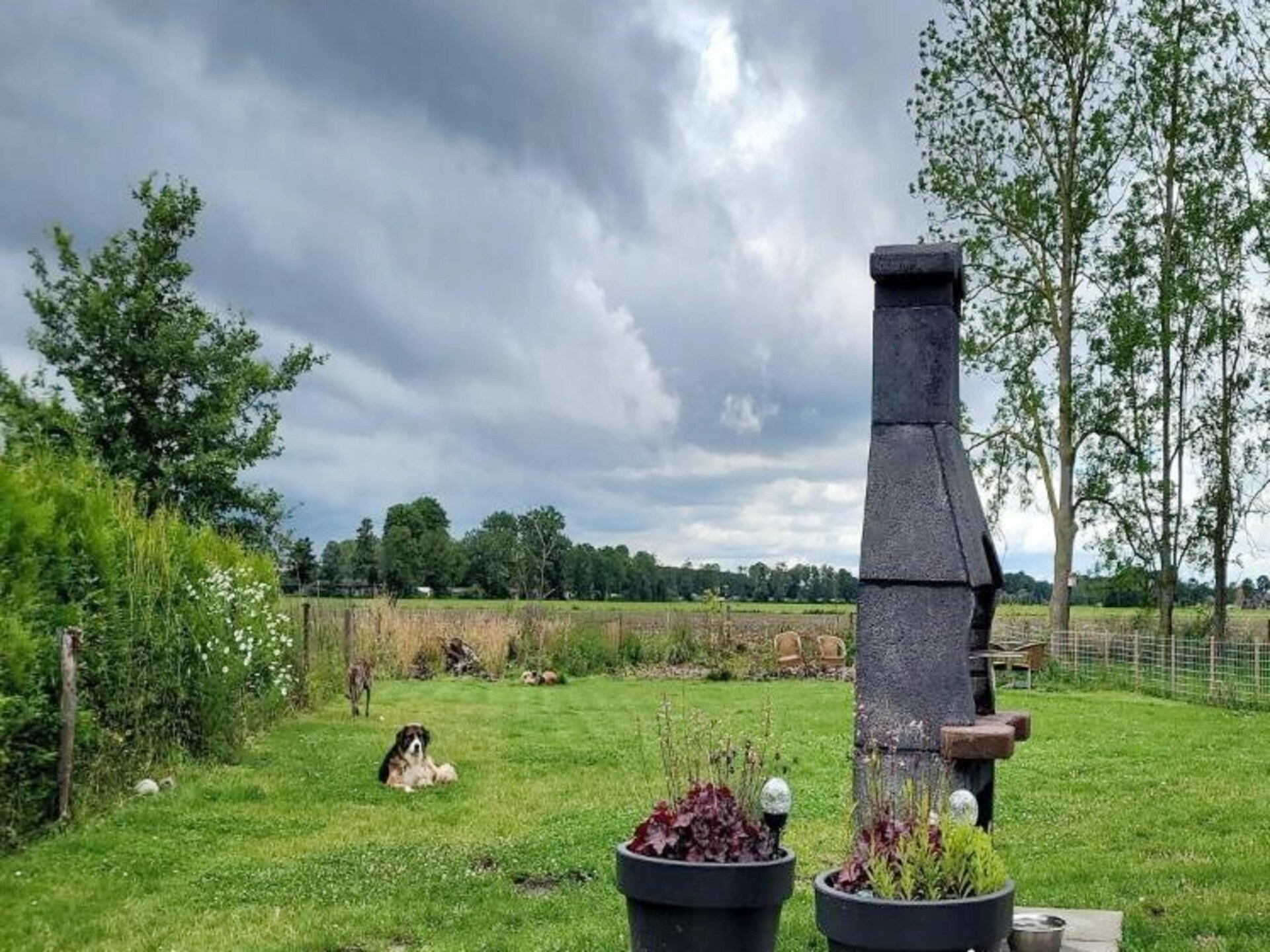 Vrijstaande 6-persoons bosbungalow met omheinde tuin in Ewijk - foto 18