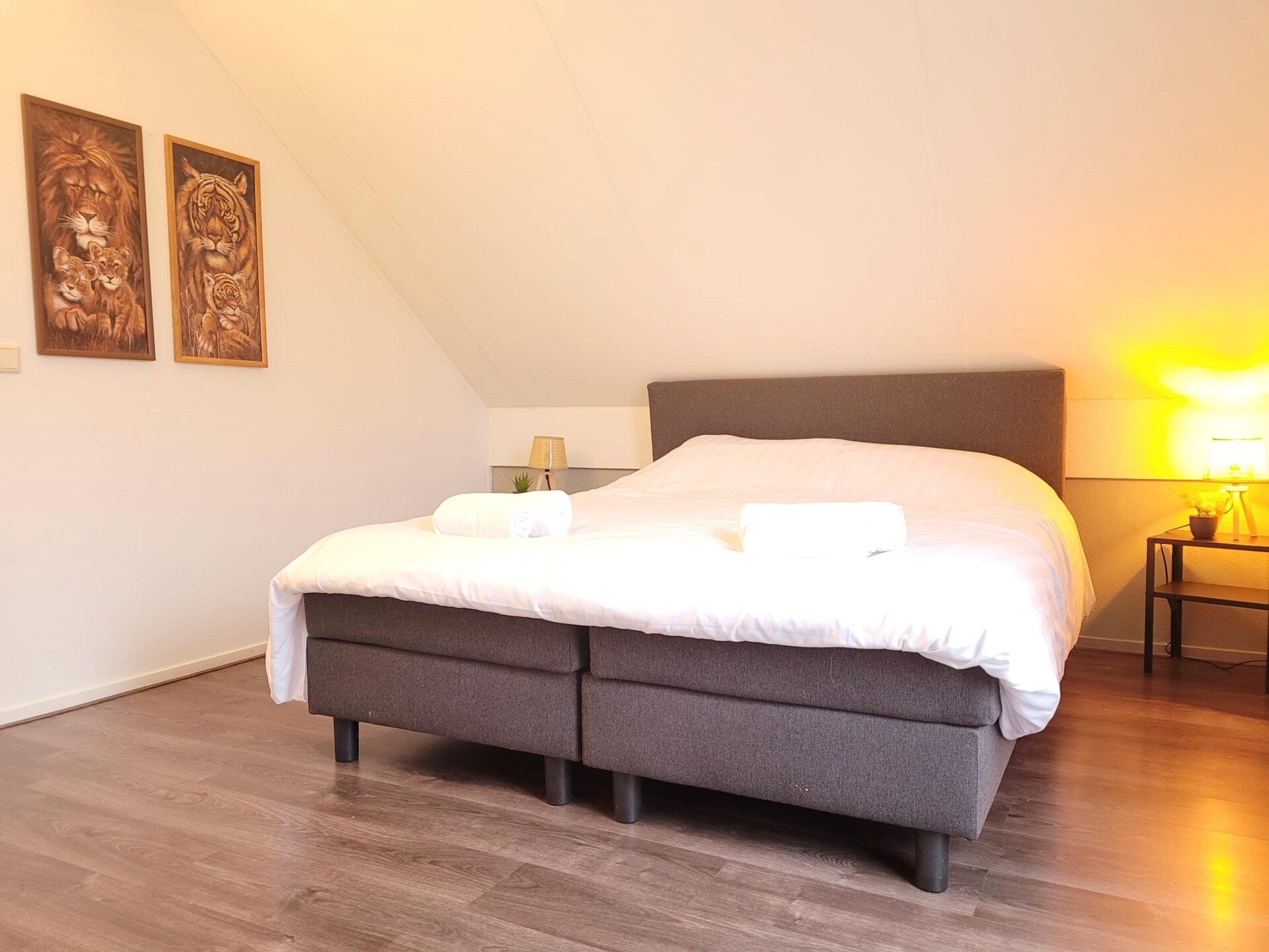 Vrijstaande 6-persoonsbosbungalow met tuin in rustig park, Ewijk - foto 12