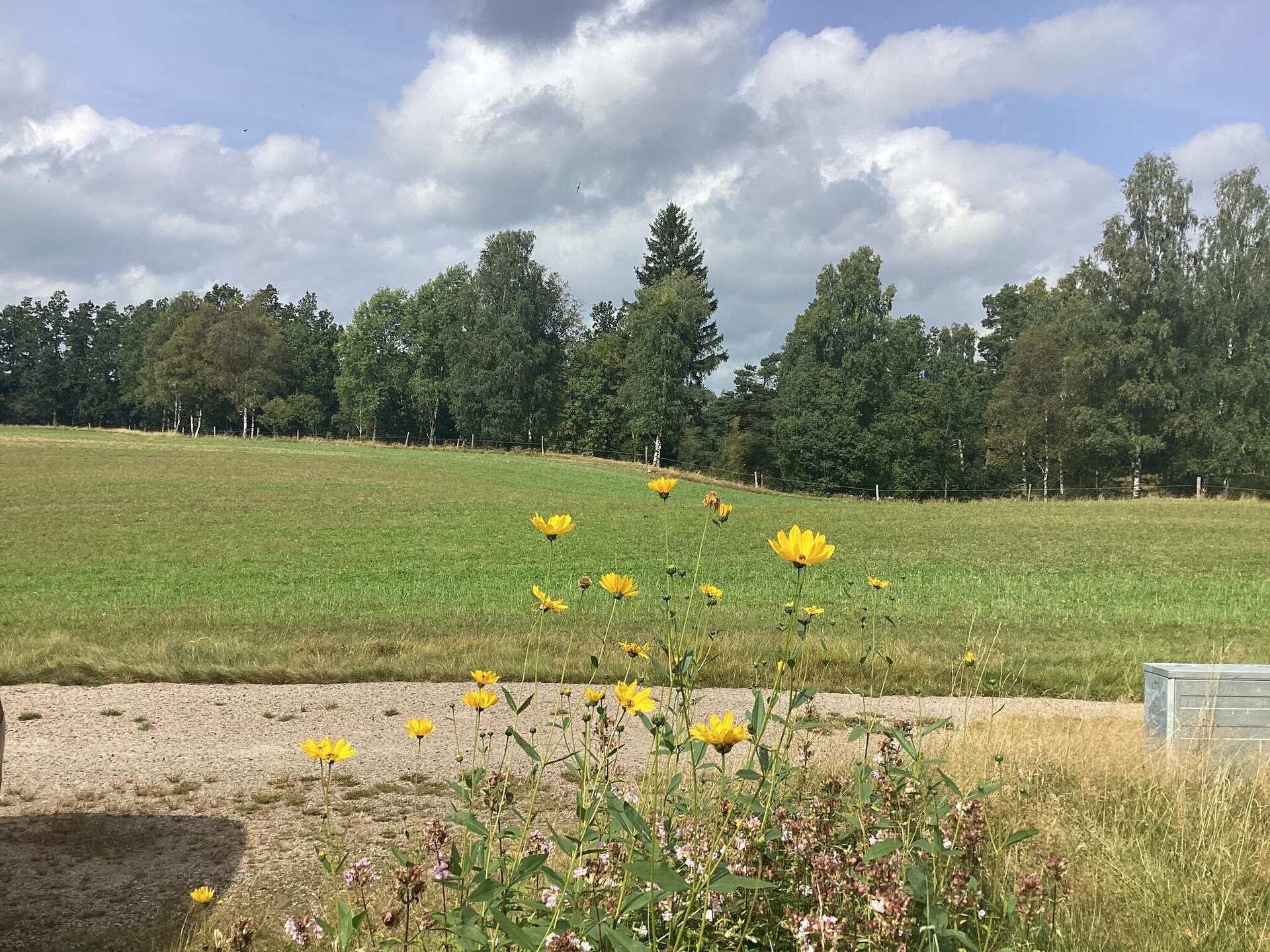 Knus vakantiehuis aan de golfbaan bij Torup, Halland - foto 8