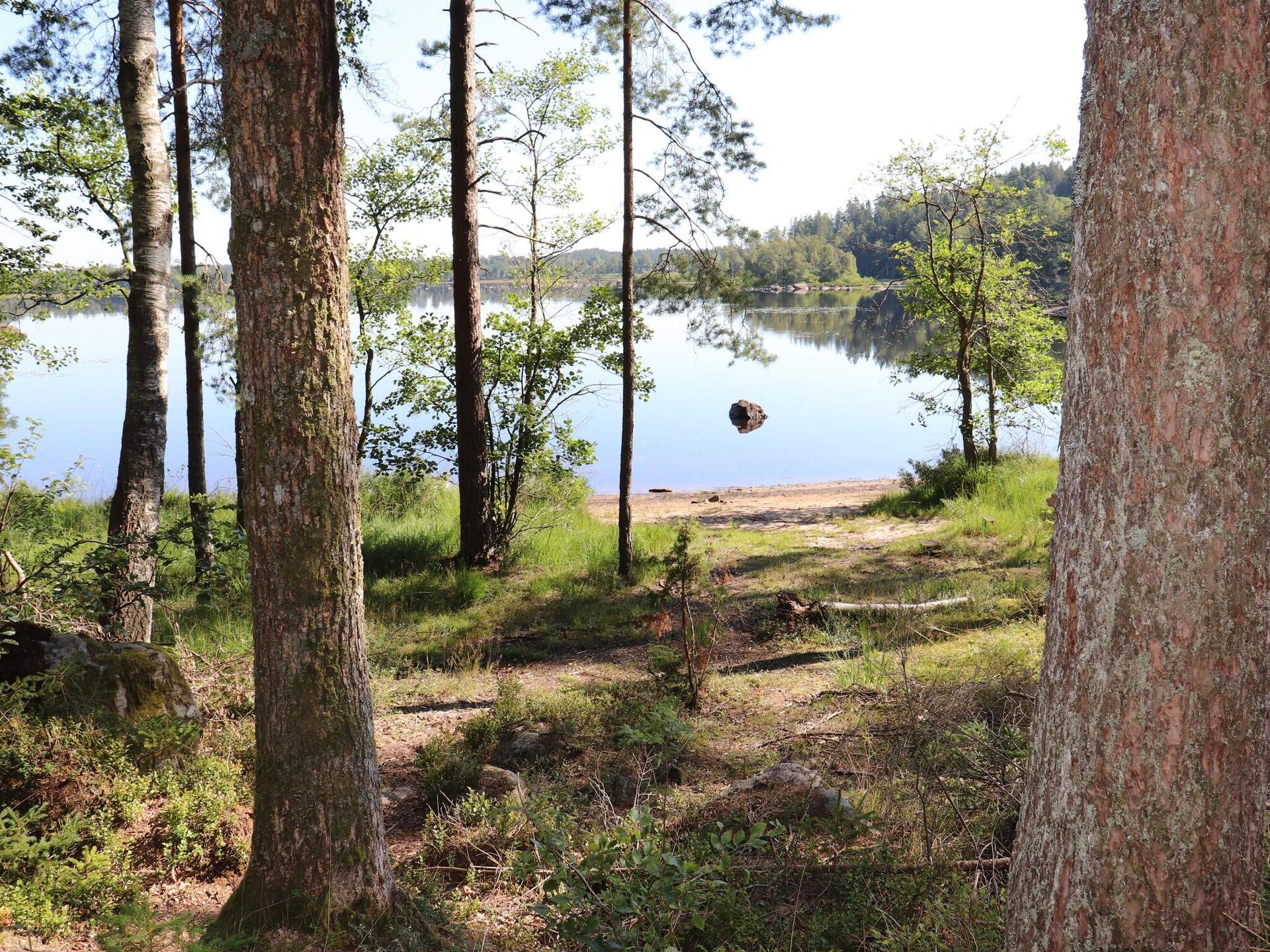 Knus vakantiehuis aan de golfbaan bij Torup, Halland - foto 21