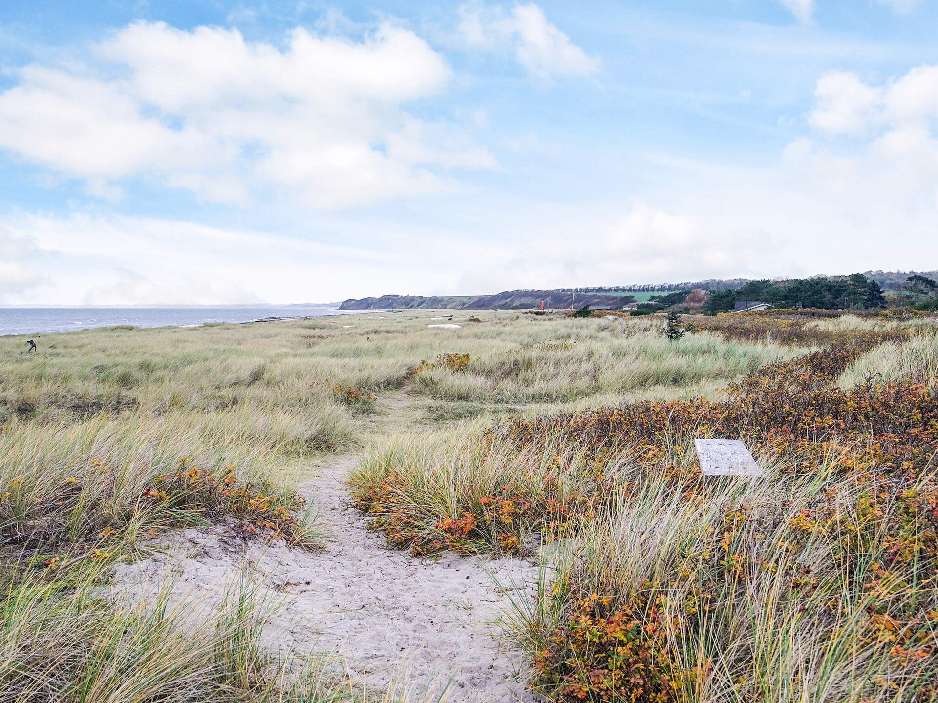 Vrijstaand vakantiehuis op 70 meter van een kindvriendelijk zandstrand in Store Fuglede - foto 34