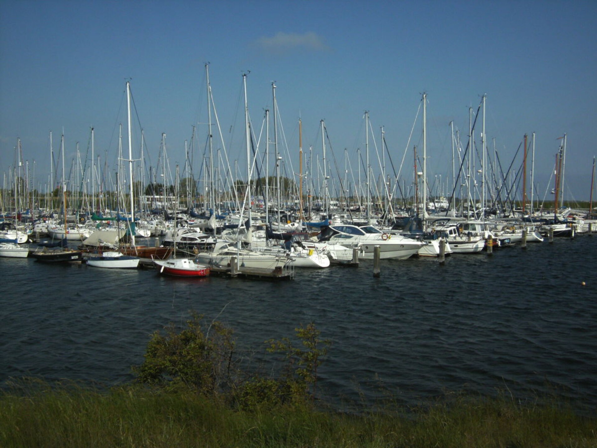 Mythilus: sfeervol vakantieappartement met tuin in Brouwershaven - foto 6