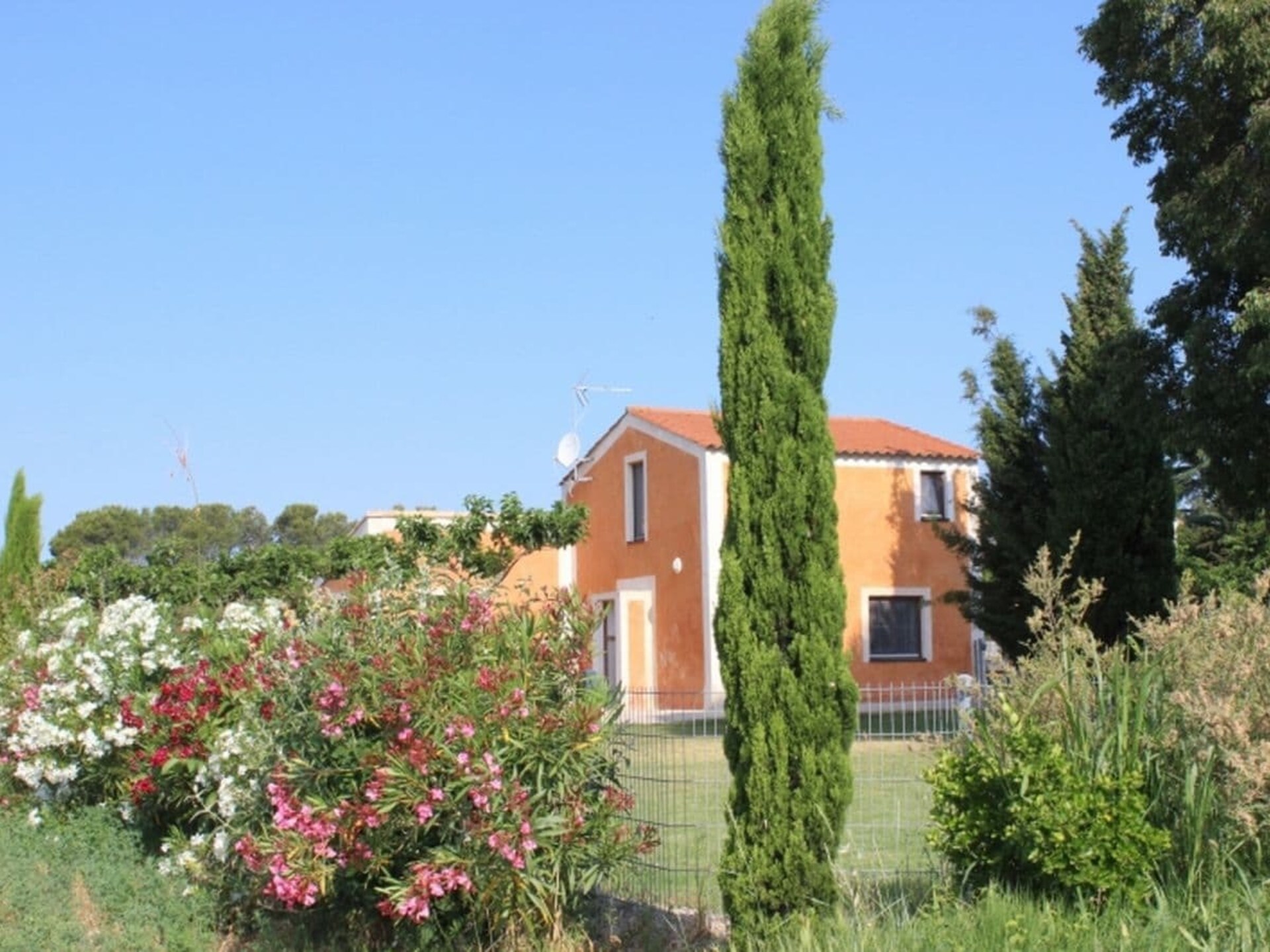 Ruim vakantiehuis op biologische boerderij met zwembad in Aspiran - foto 2