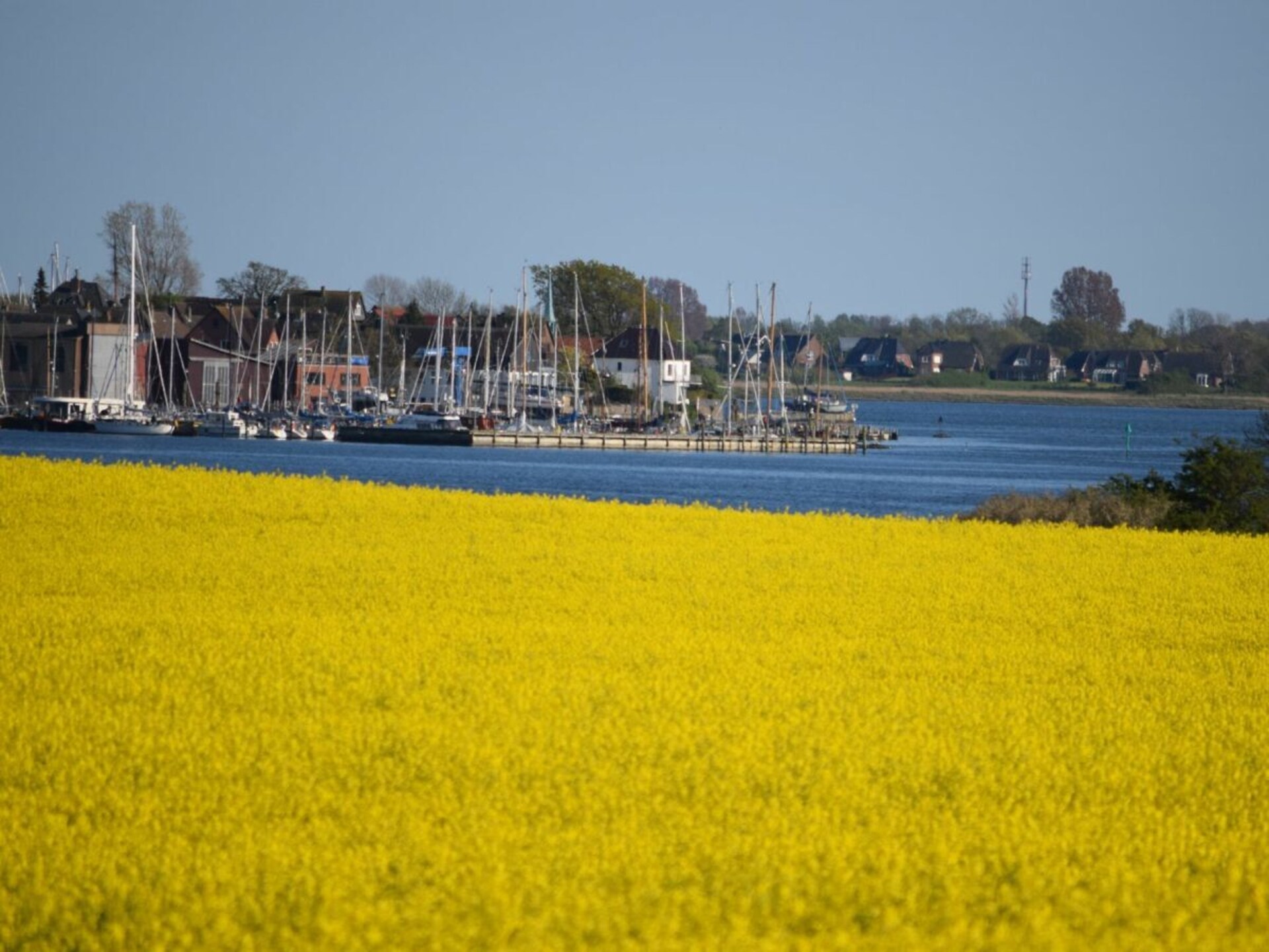 Historisch wit pareltje aan de Schlei – 50 meter tot het water - foto 22