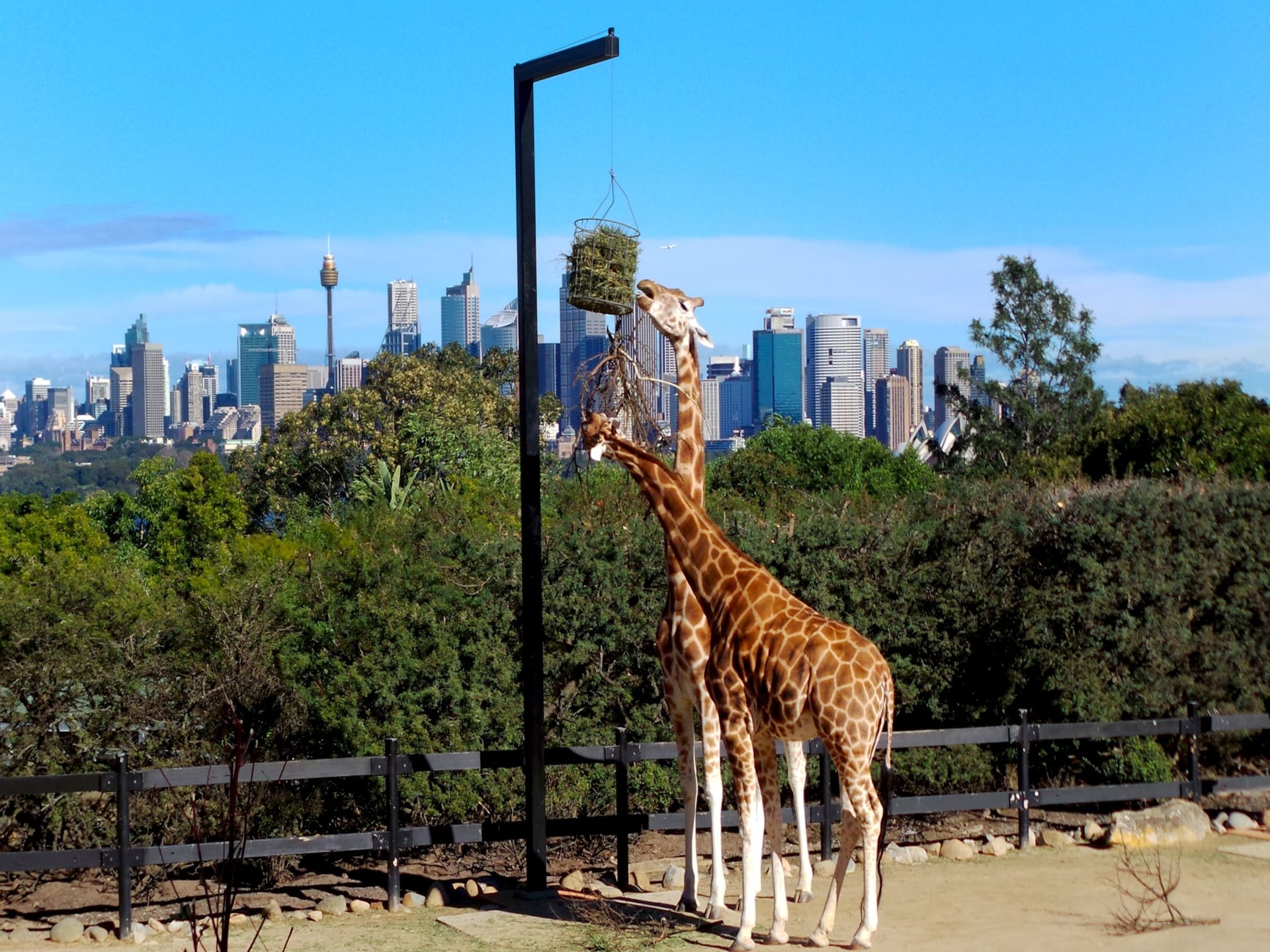 Stijlvol appartement in Cremorne – Sydney op 15 minuten - foto 16