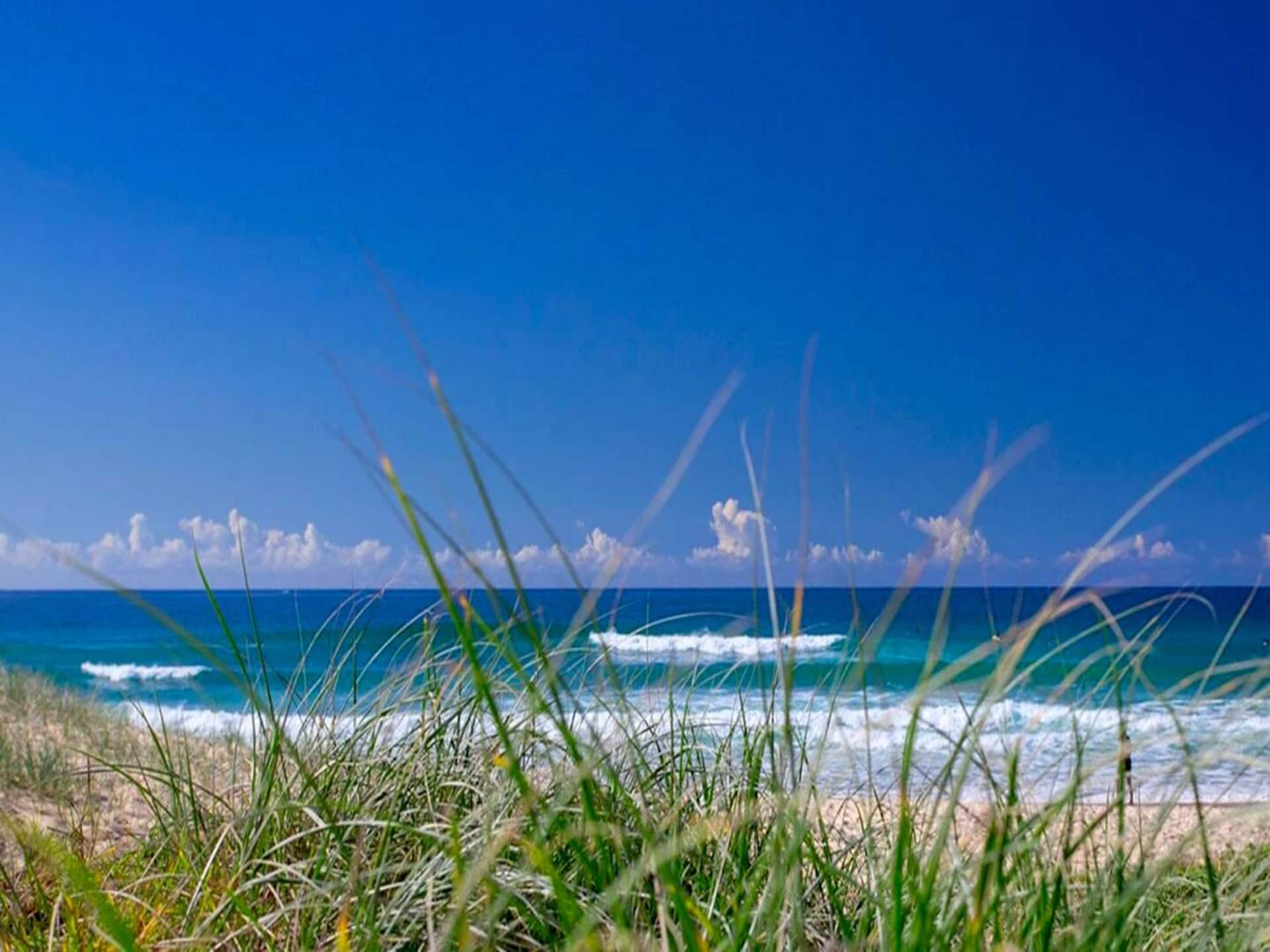 Licht appartement met zwembad en oceaanzicht in Sunshine Beach - foto 8