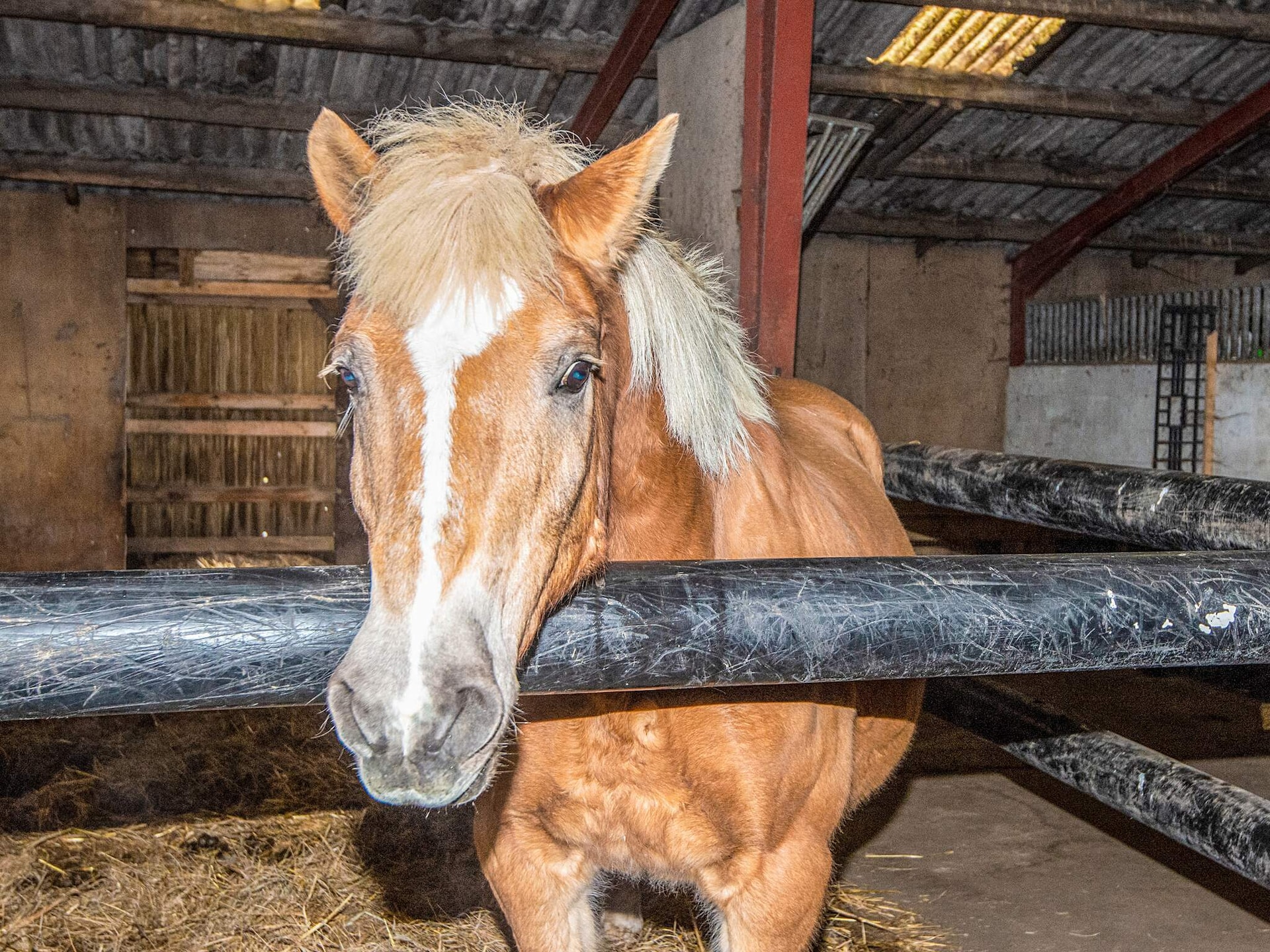 Sfeervol vakantiehuis op boerderij Hohenwarte in Højer · 40 m² - foto 15