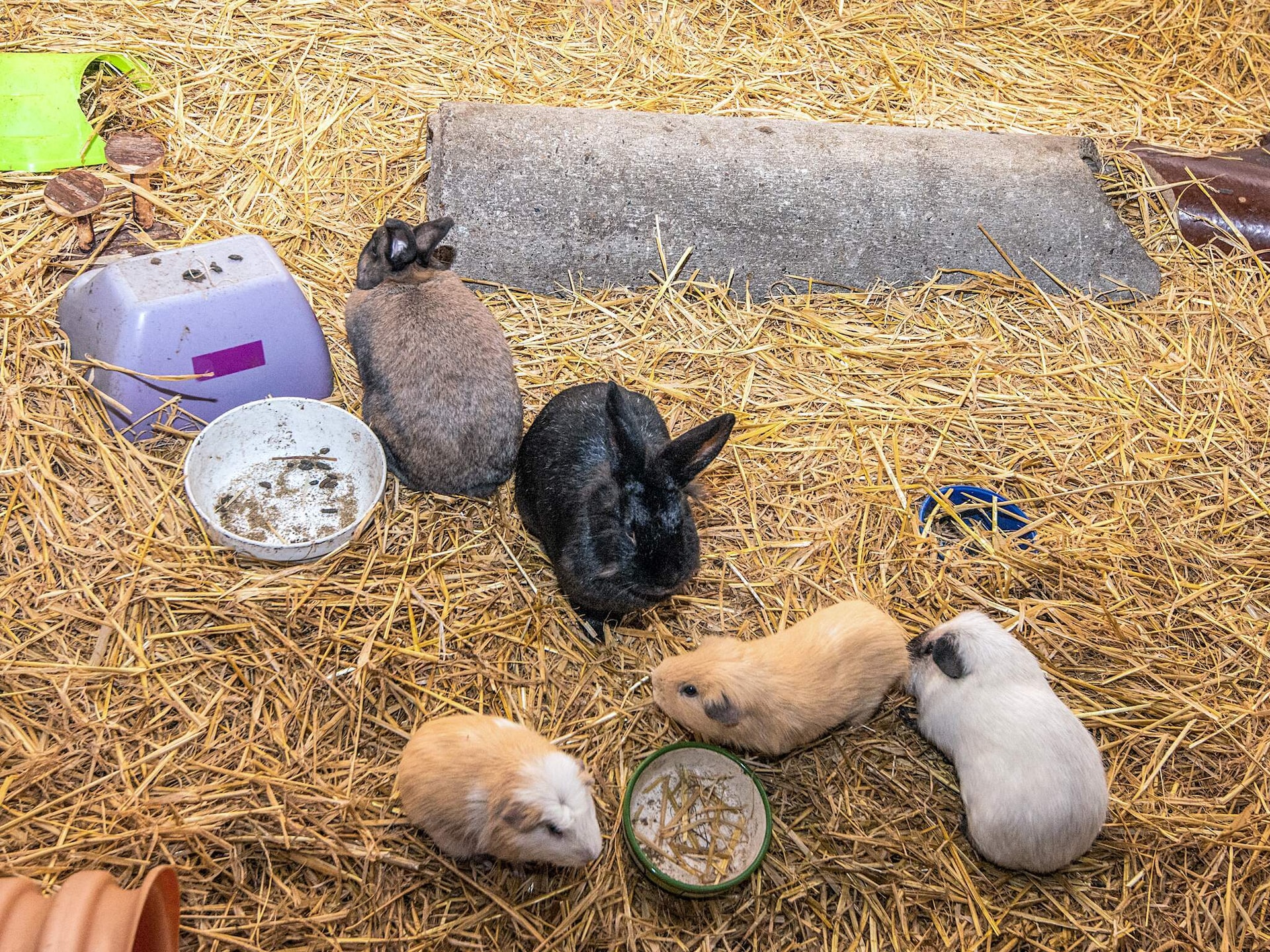 Sfeervol vakantiehuis op boerderij Hohenwarte in Højer · 40 m² - foto 16