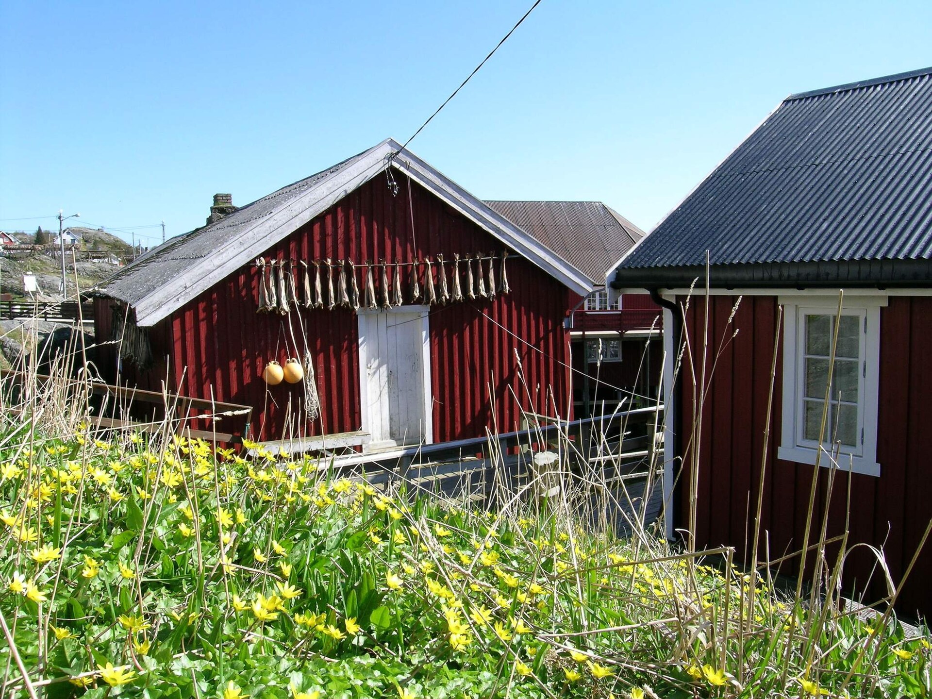 Gerenoveerd appartement in historische vissershut aan zee op de Lofoten - foto 26