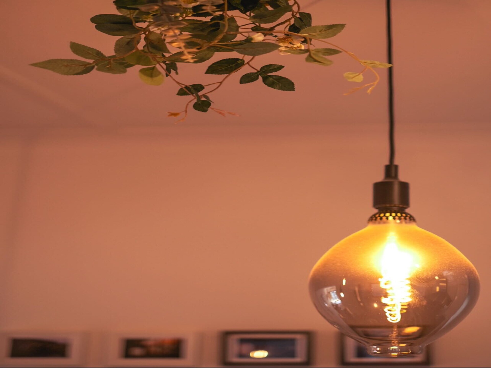 Stijlvol appartement met 2 slaapkamers in trendy Erskineville - foto 13