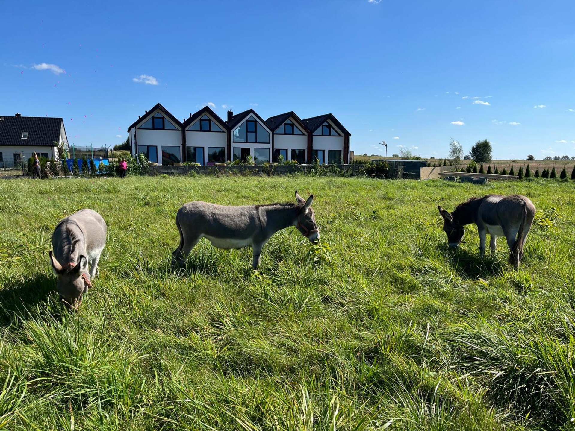 Bosvilla voor 8 in Mielenko – Dichtbij zee en meer - foto 19