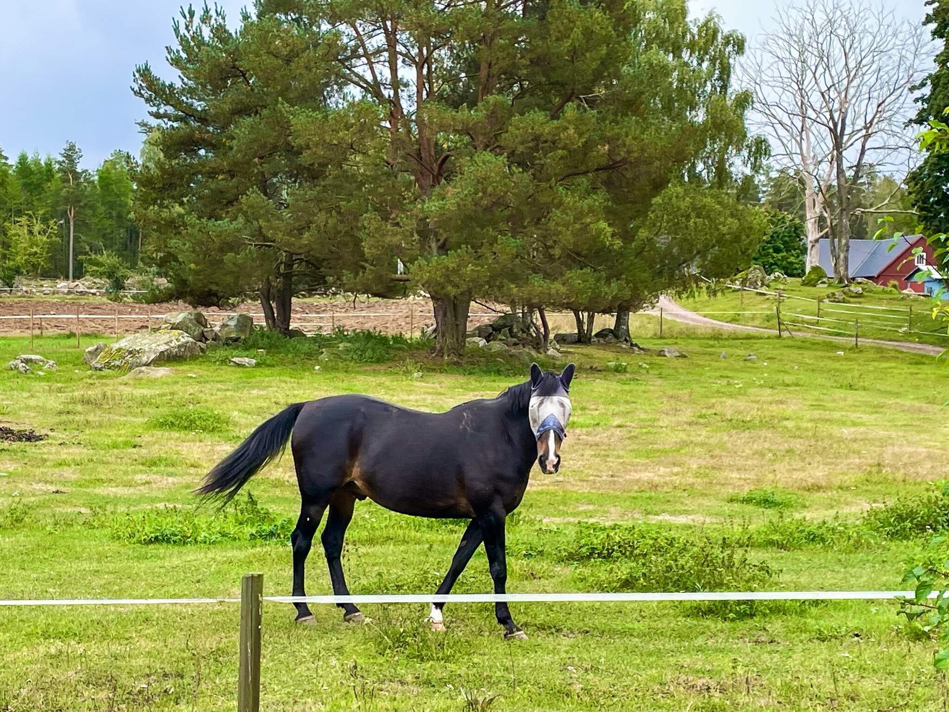 Knus vakantiehuis op paardenboerderij bij Berga, vlakbij meer en golfbaan - foto 9