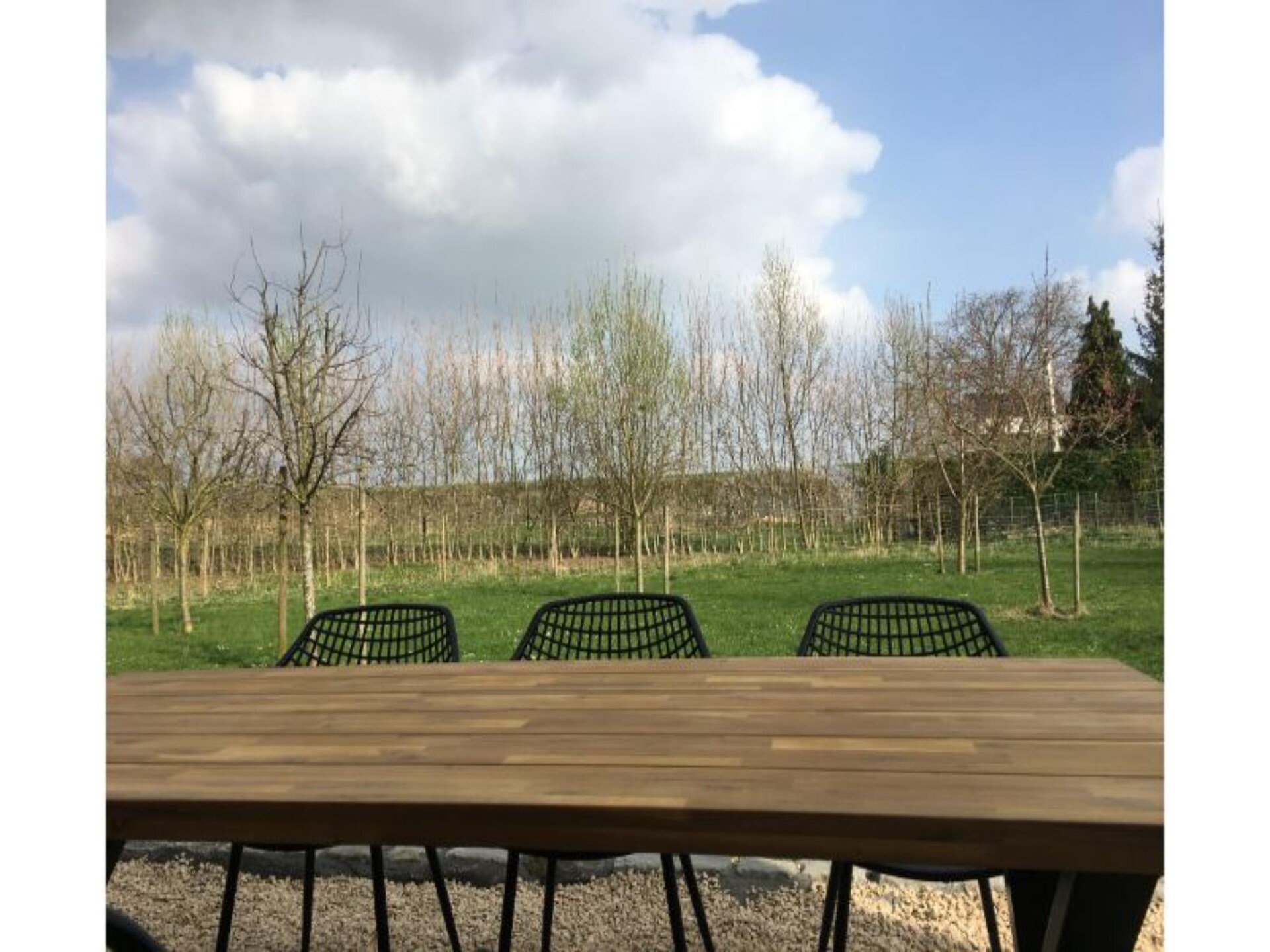 Vakantieboerderij voor 22 personen met wellness, alpaca's en spelletjes in Heers - foto 25