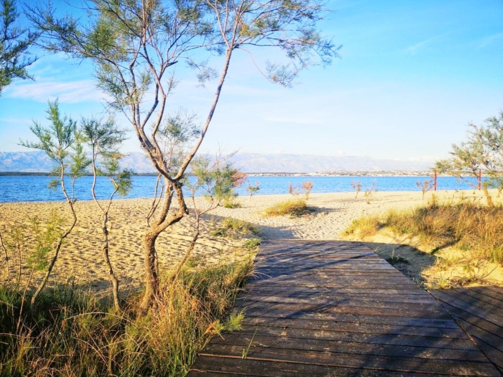 Aan het strand: ruim appartement Villa Casa Mia Sabunike A2 in Privlaka - foto 25
