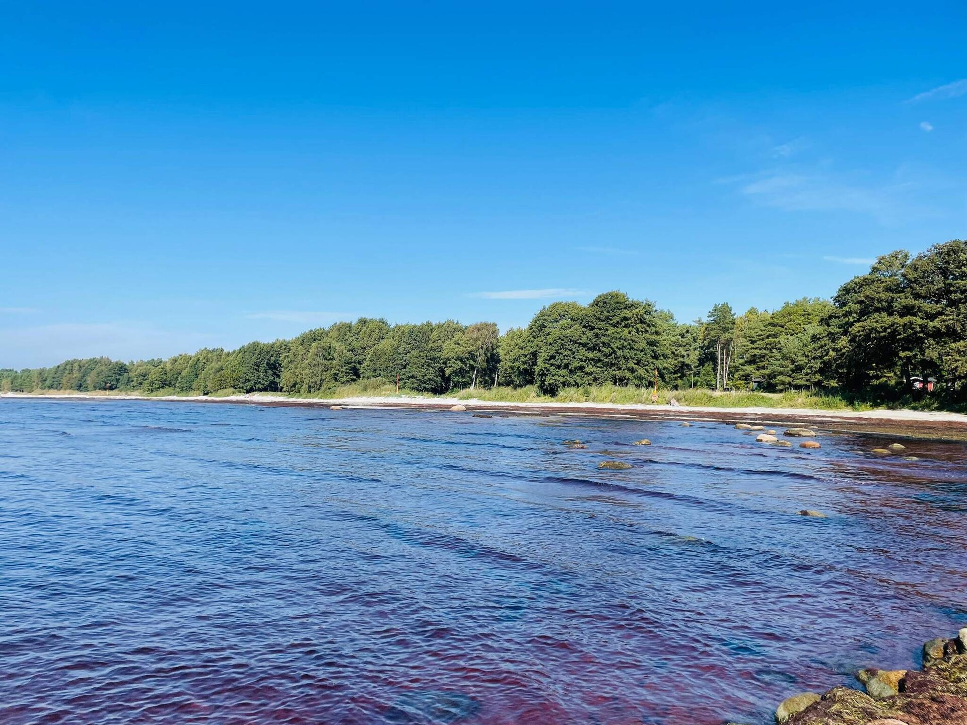 Vrijstaand vakantiehuis met zeezicht op 150 meter van het strand in Sölvesborg - foto 8