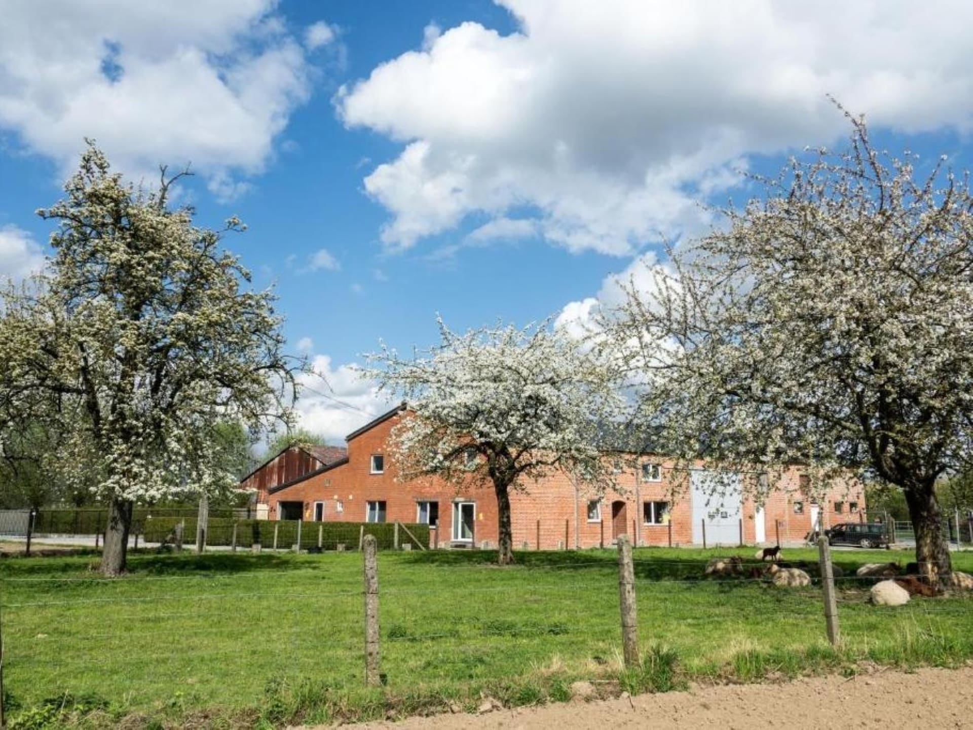 Sfeervol vakantiehuis Karper Studio in Heers voor 4 personen - foto 34