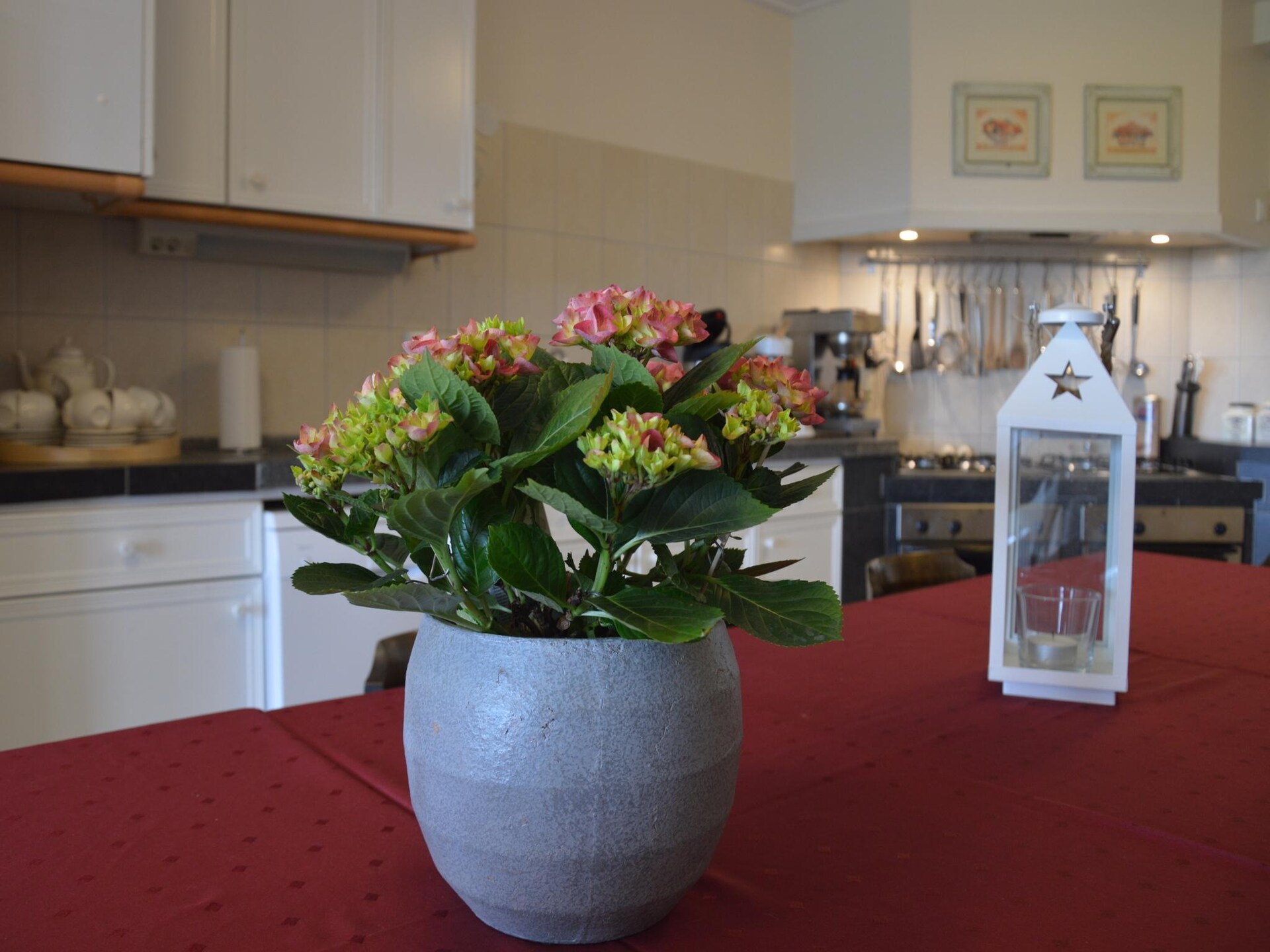 BELLEVUE: Luxe groepsaccommodatie in bosrijk Noordbeemster - foto 38
