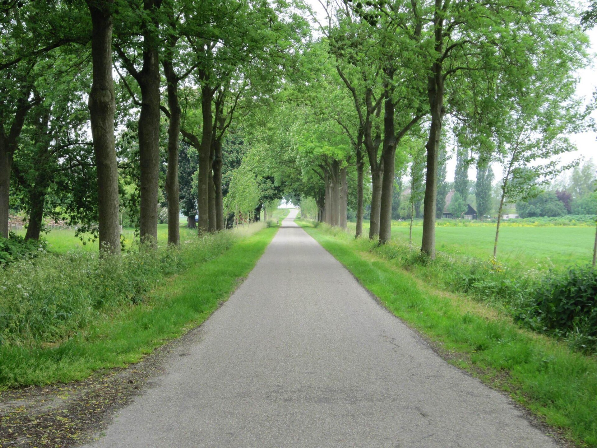 BELLEVUE: Luxe groepsaccommodatie in bosrijk Noordbeemster - foto 32