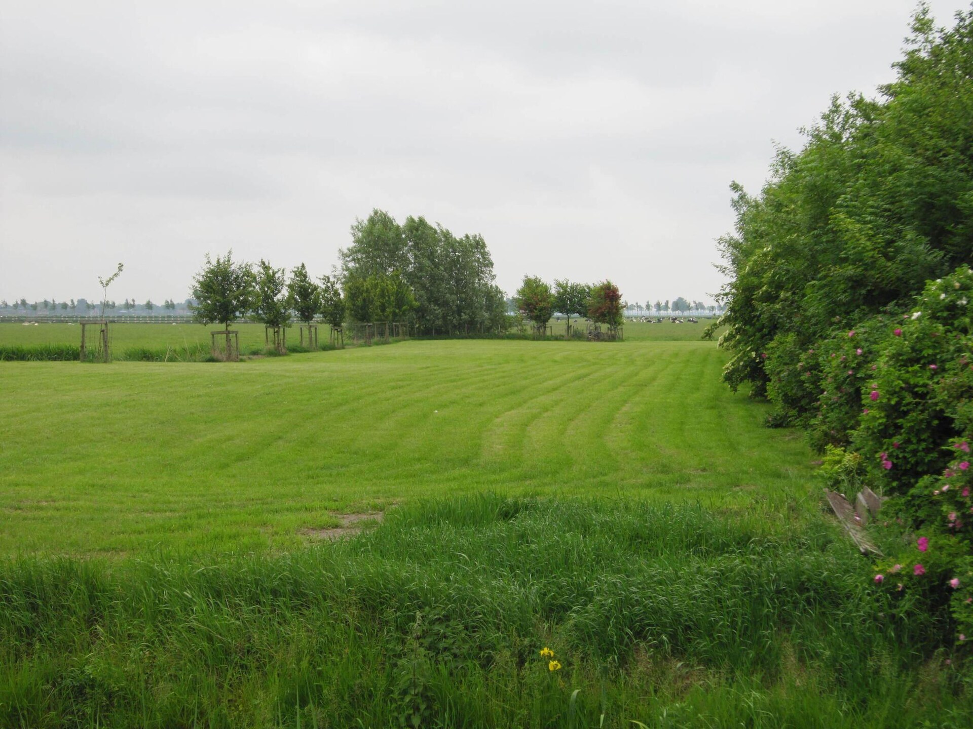 BELLEVUE: Luxe groepsaccommodatie in bosrijk Noordbeemster - foto 30