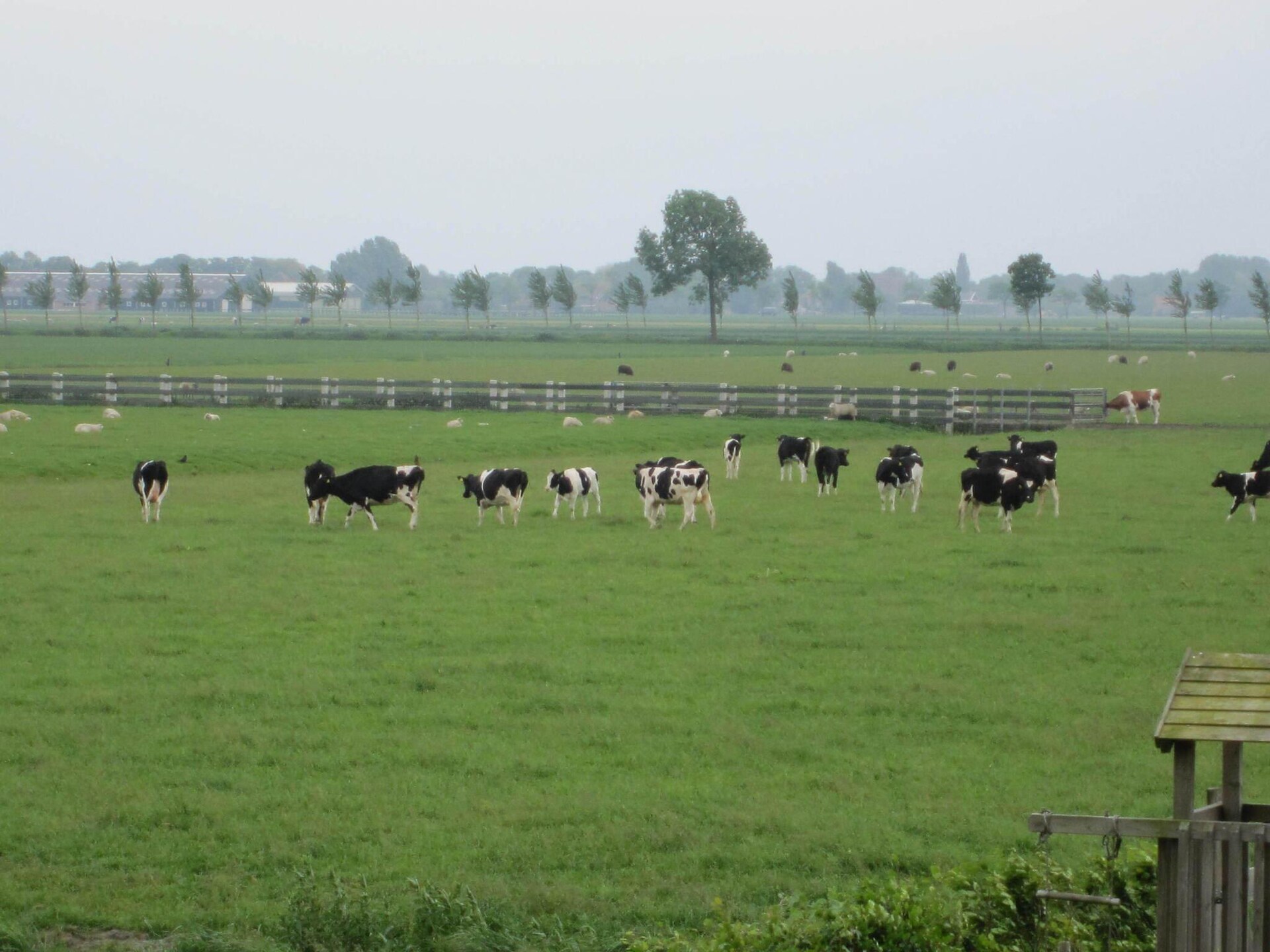 BELLEVUE: Luxe groepsaccommodatie in bosrijk Noordbeemster - foto 34
