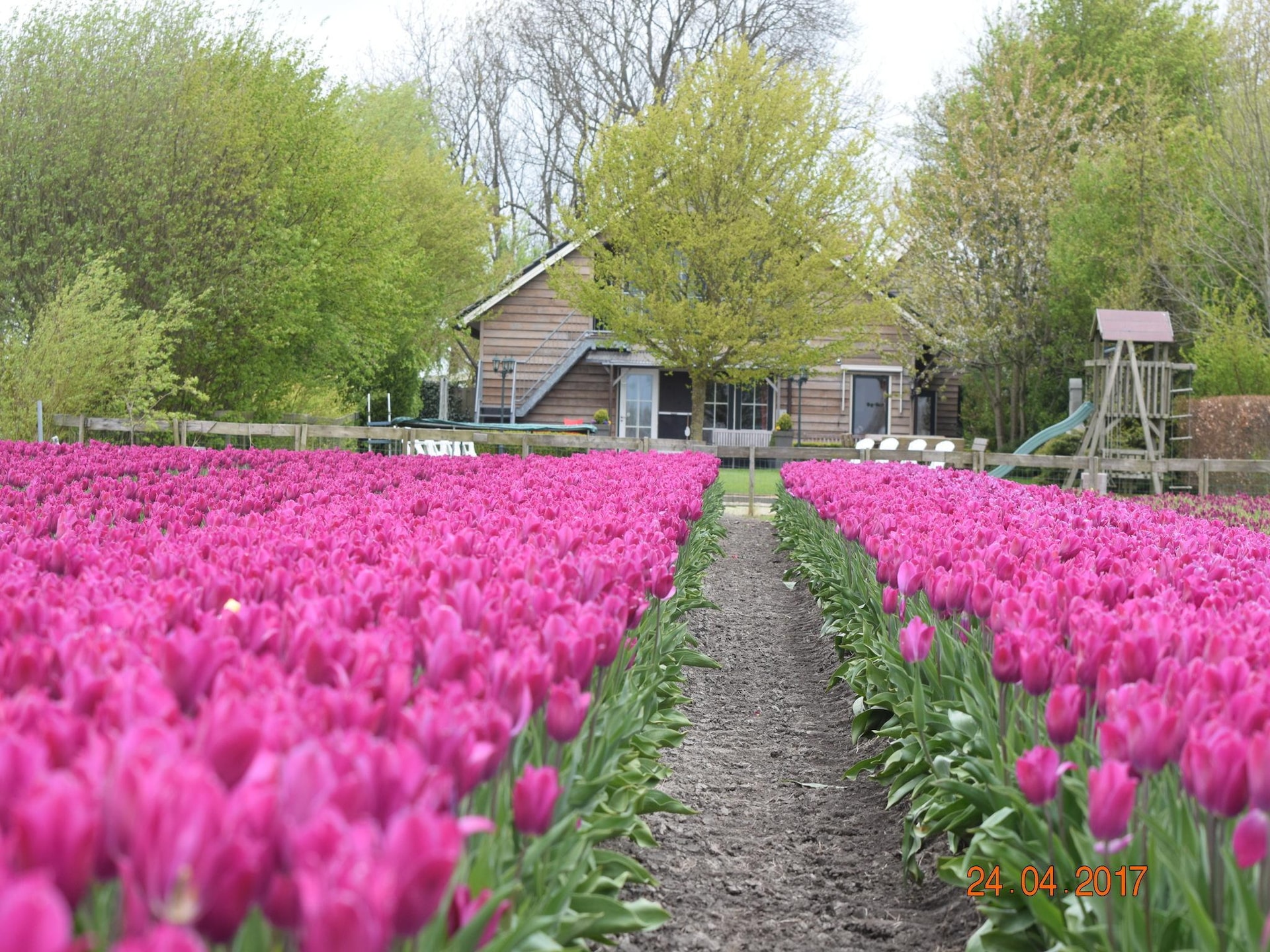 BELLEVUE: Luxe groepsaccommodatie in bosrijk Noordbeemster - foto 26