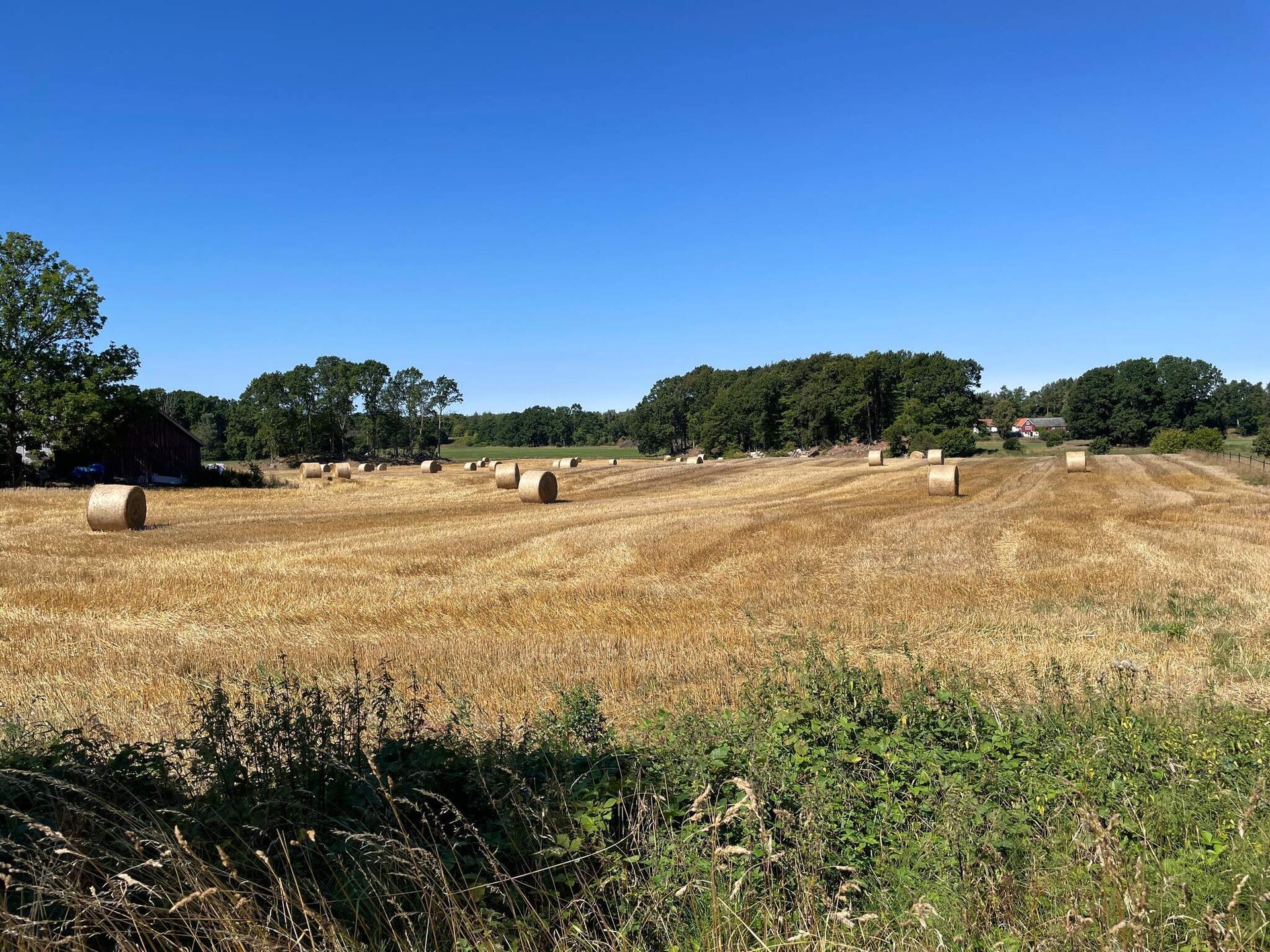 Sfeervol vakantiehuis in Ystad Sandskogen, op 600 meter van zee - foto 33